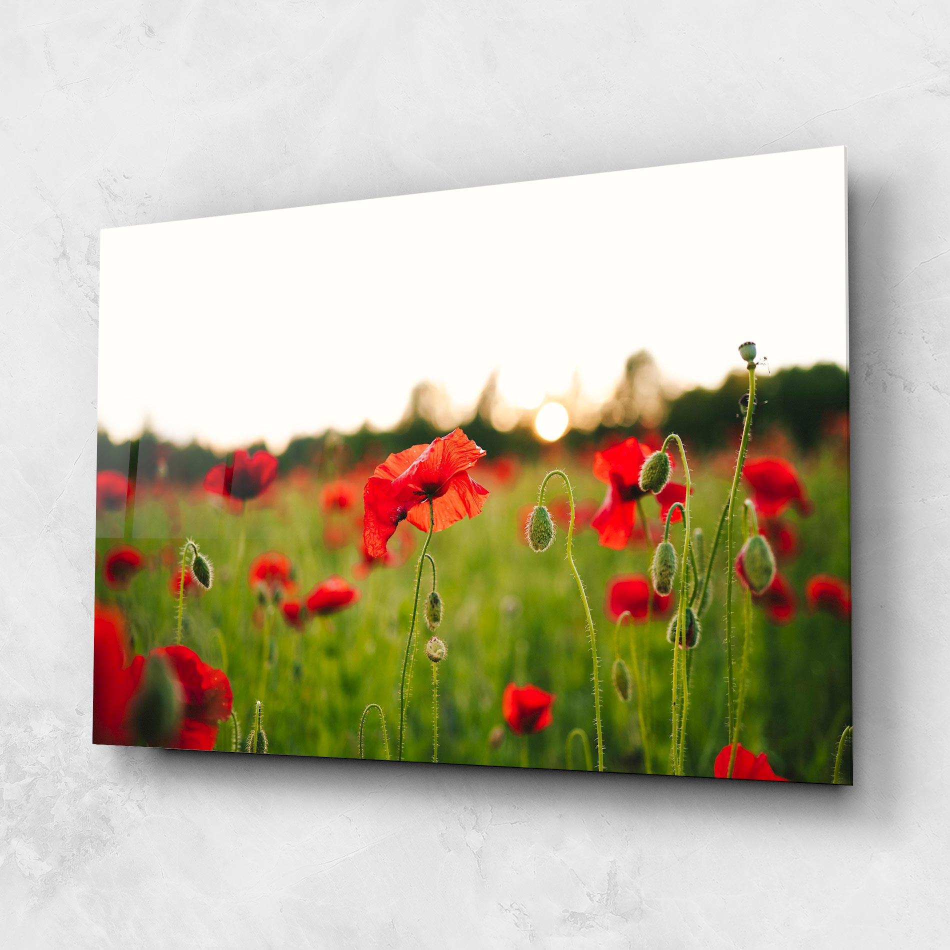 Glasbild Poppies Field mockup 1