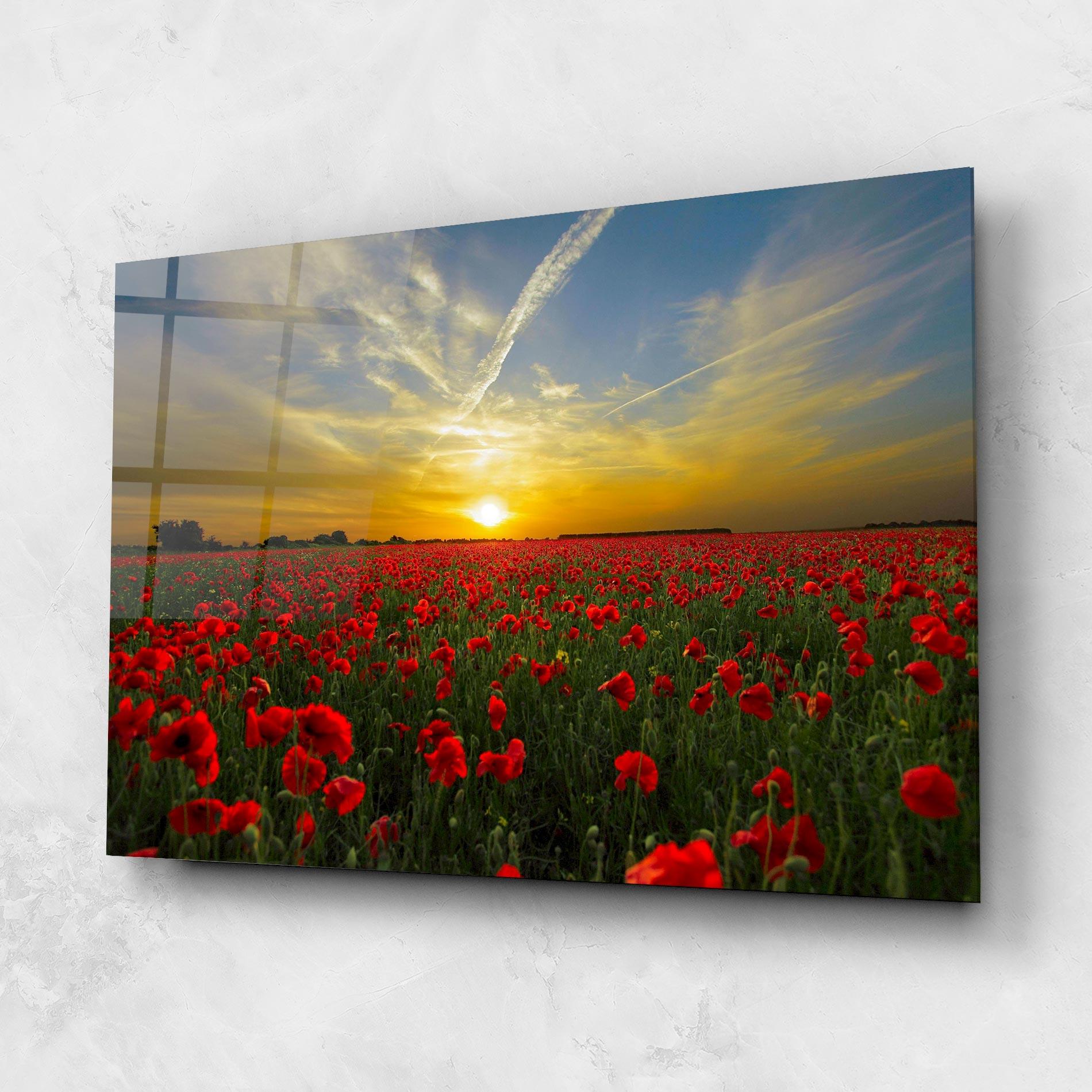 Glasbild Poppies Sunset mockup 1