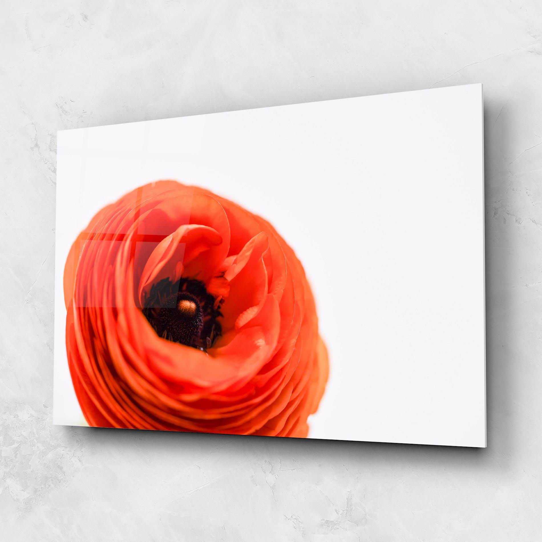 Glasbild Pretty Red Poppy mockup 1