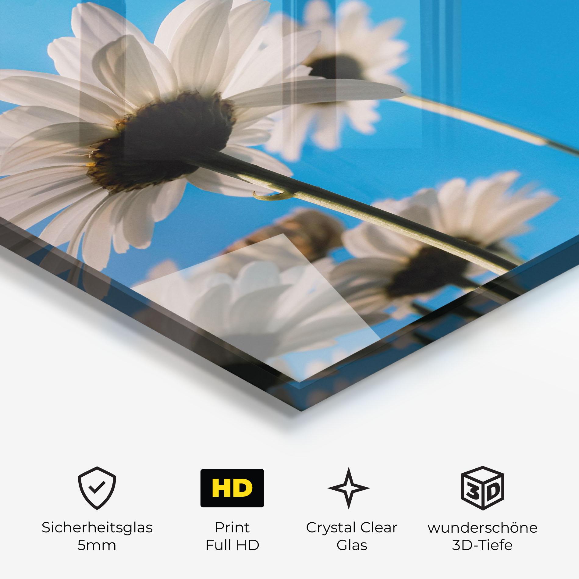 Glasbild Blue Sky Daisy mockup 3