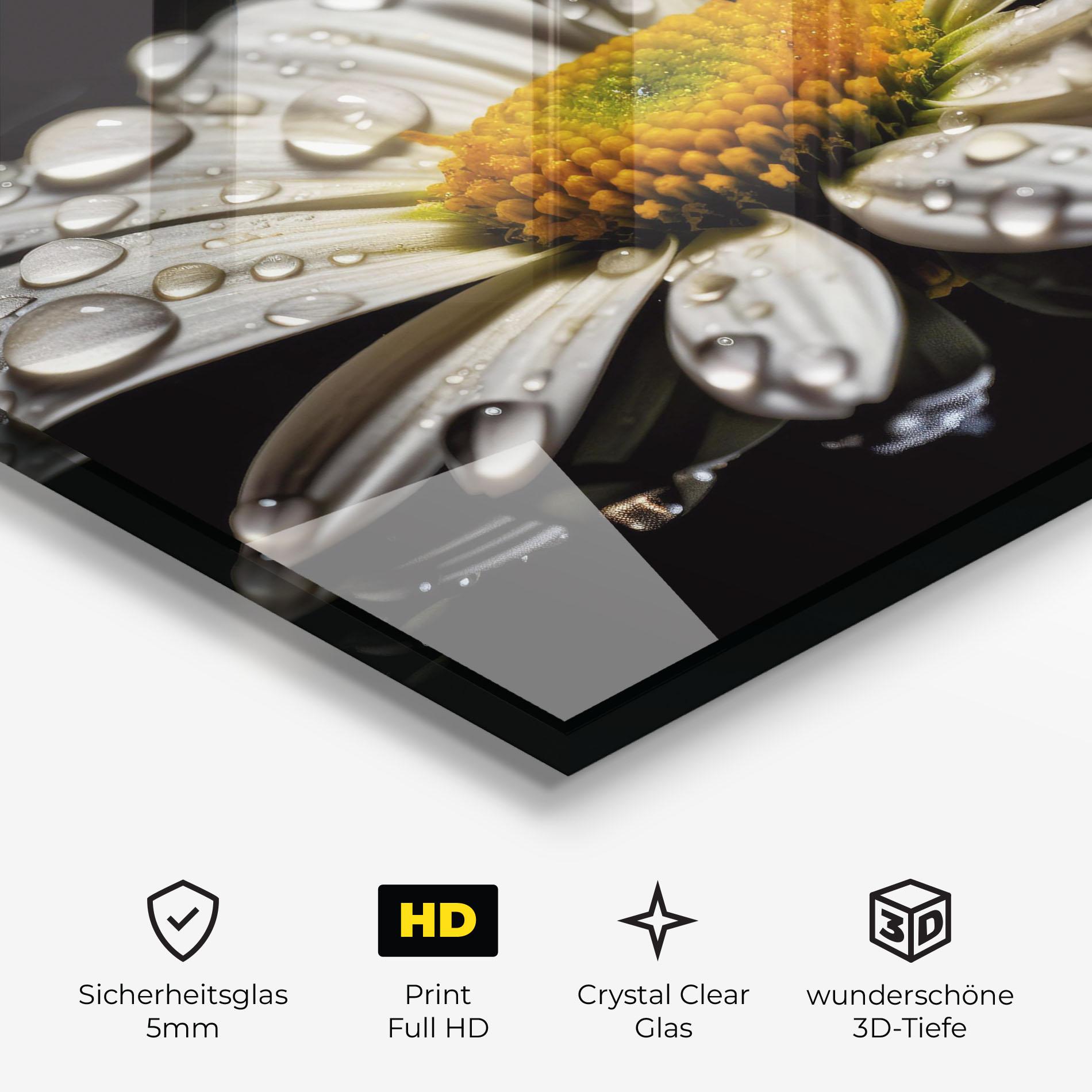 Glasbild Daisy After The Rain mockup 3