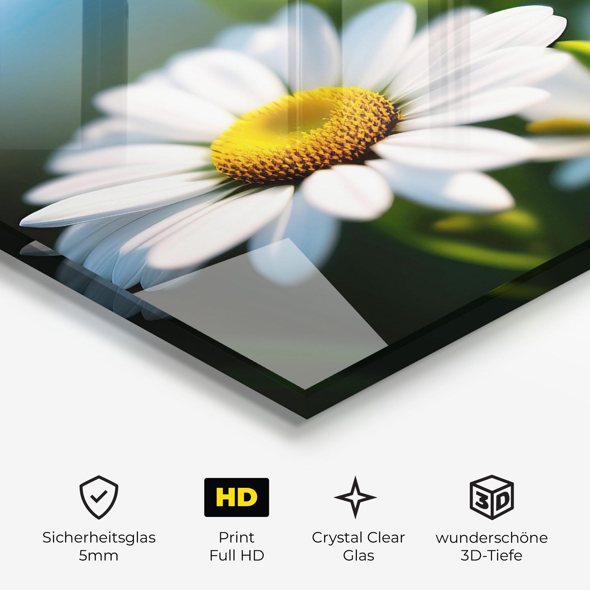 Glasbild Daisy In The Sun mockup 3