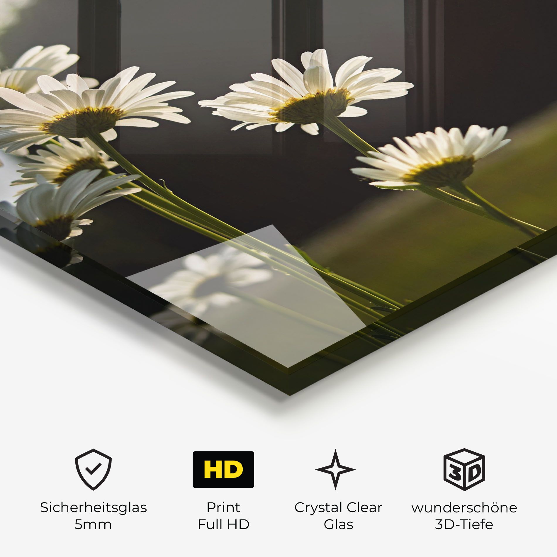 Wild Daisy mockup 3