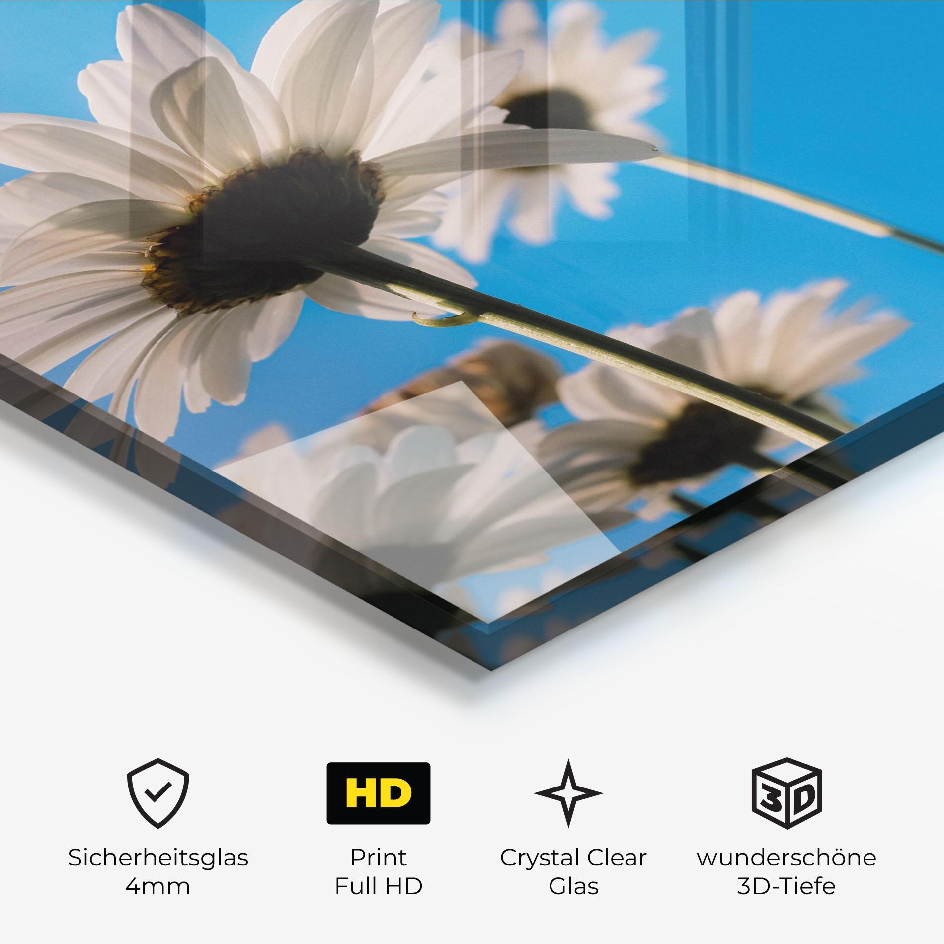 Glasbild Blue Sky Daisy mockup 3