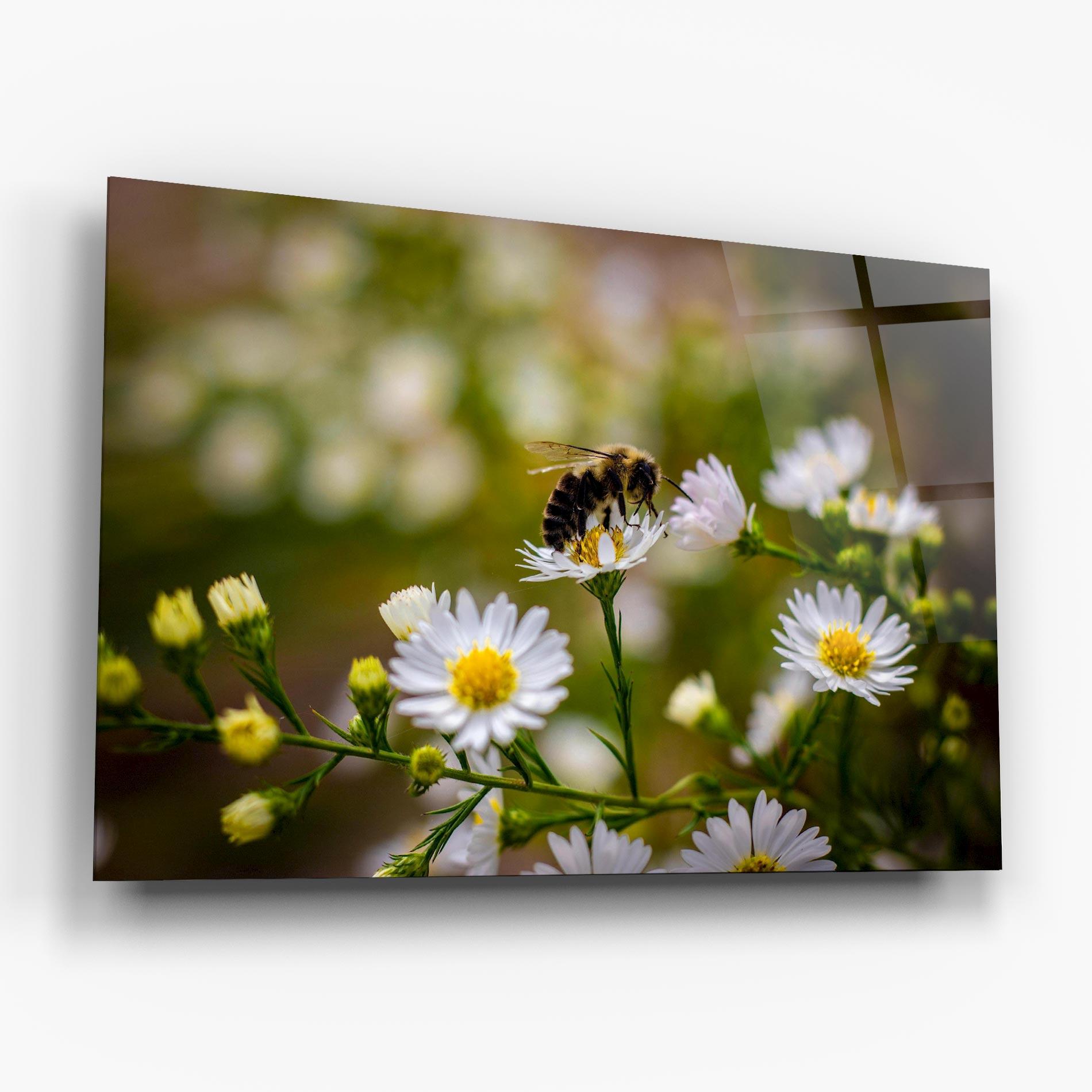Glasbild Bee On Small Flower mockup 6