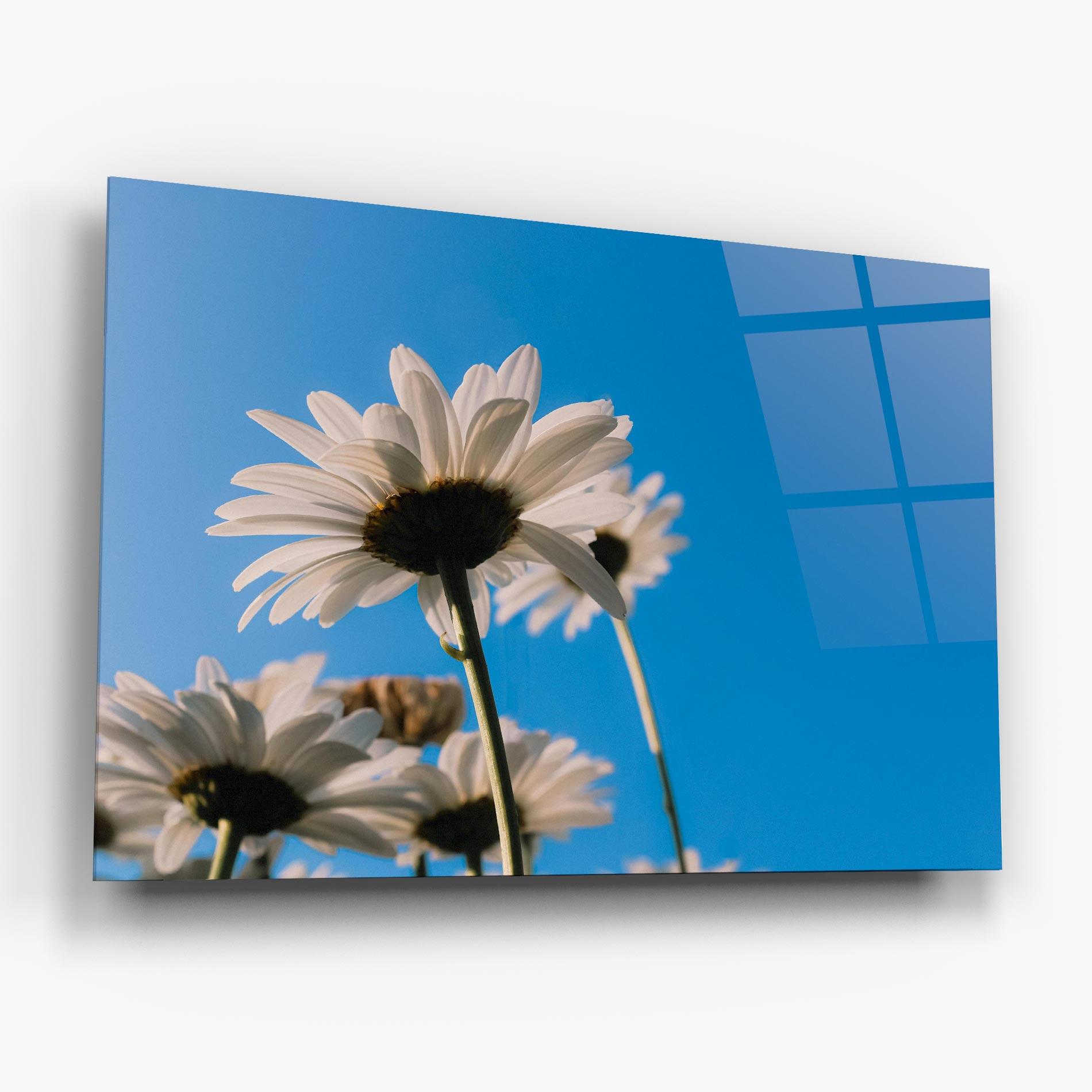 Glasbild Blue Sky Daisy mockup 6