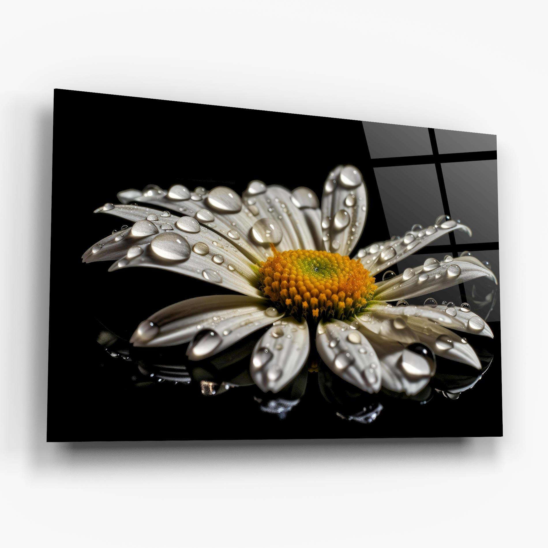 Glasbild Daisy After The Rain mockup 6
