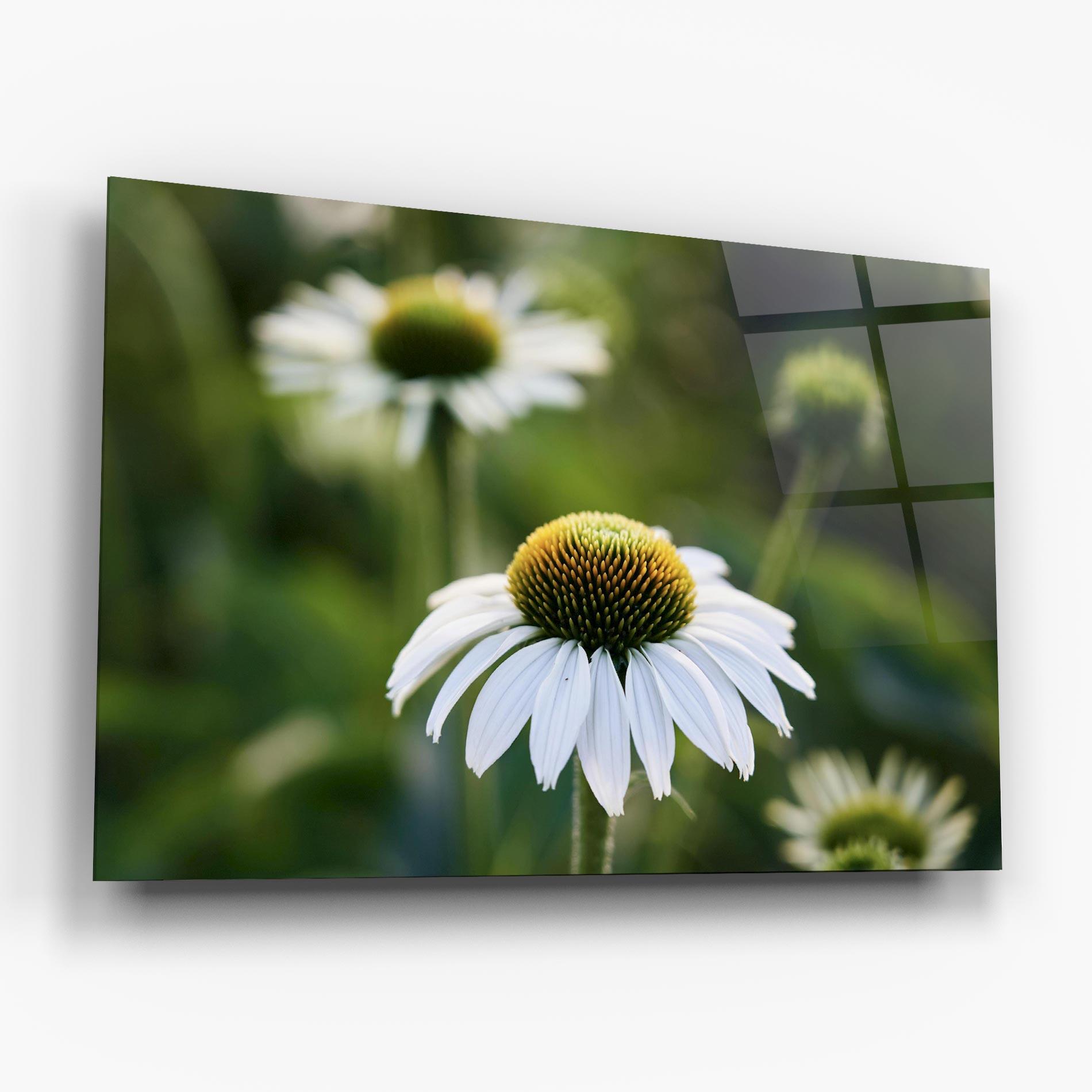Glasbild Small Green Daisy mockup 6