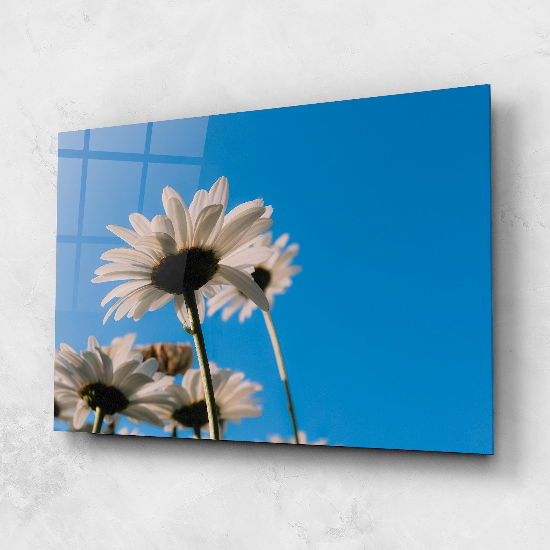 Glasbild Blue Sky Daisy mockup 1