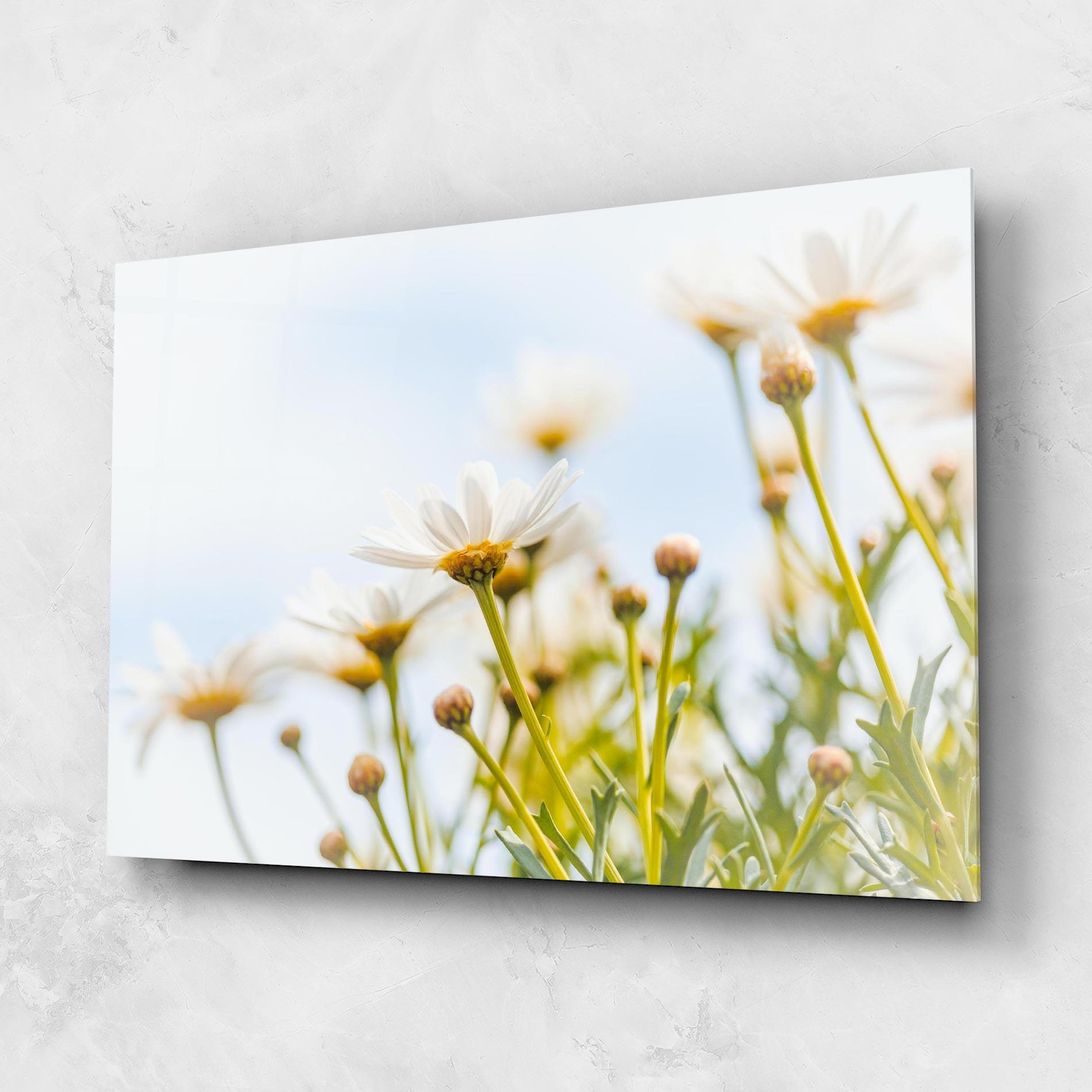 Glasbild Dreamy Daisy mockup 1