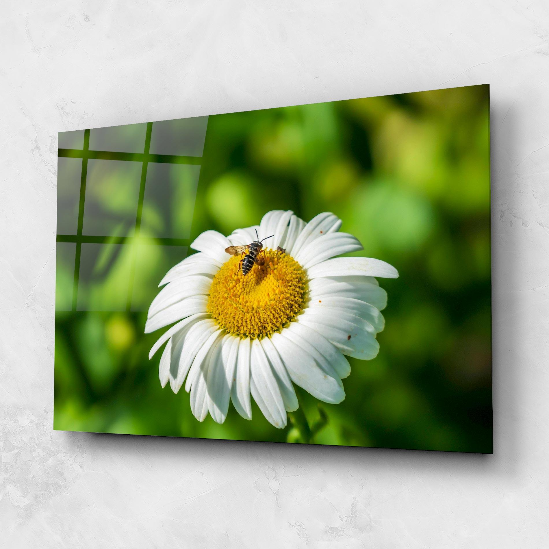 Glasbild Flying On The Daisy mockup 1