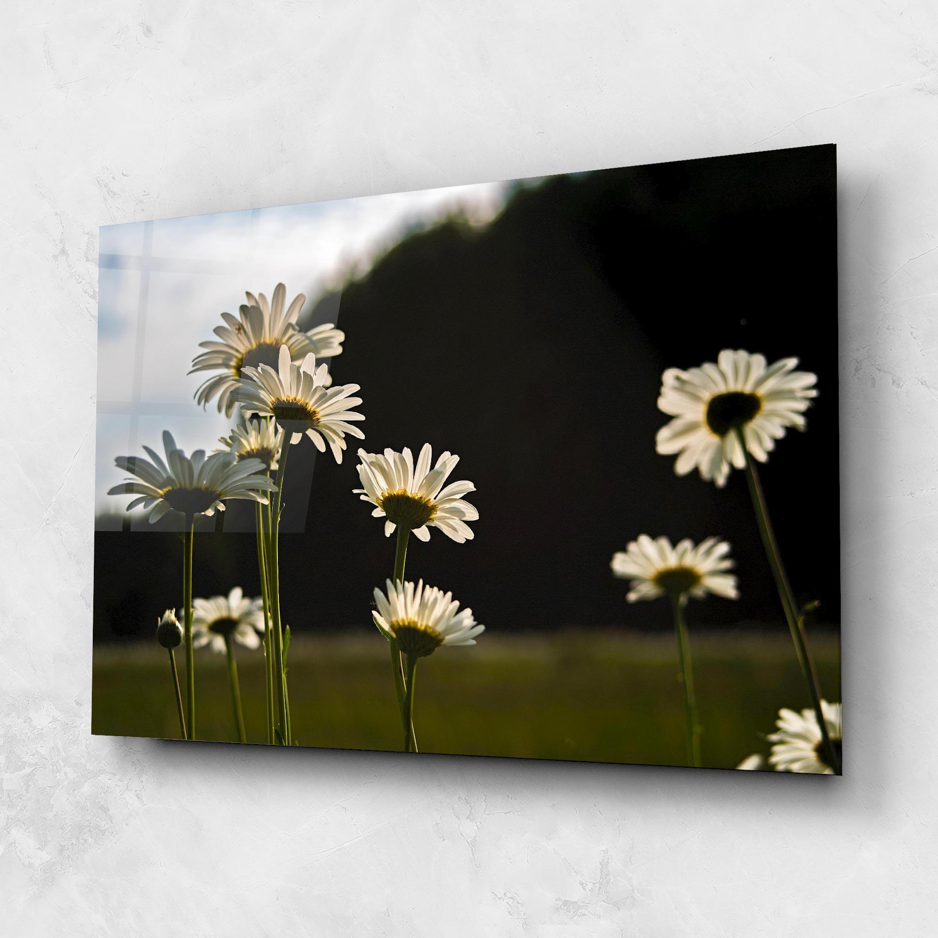 Glasbild Wild Daisy mockup 1