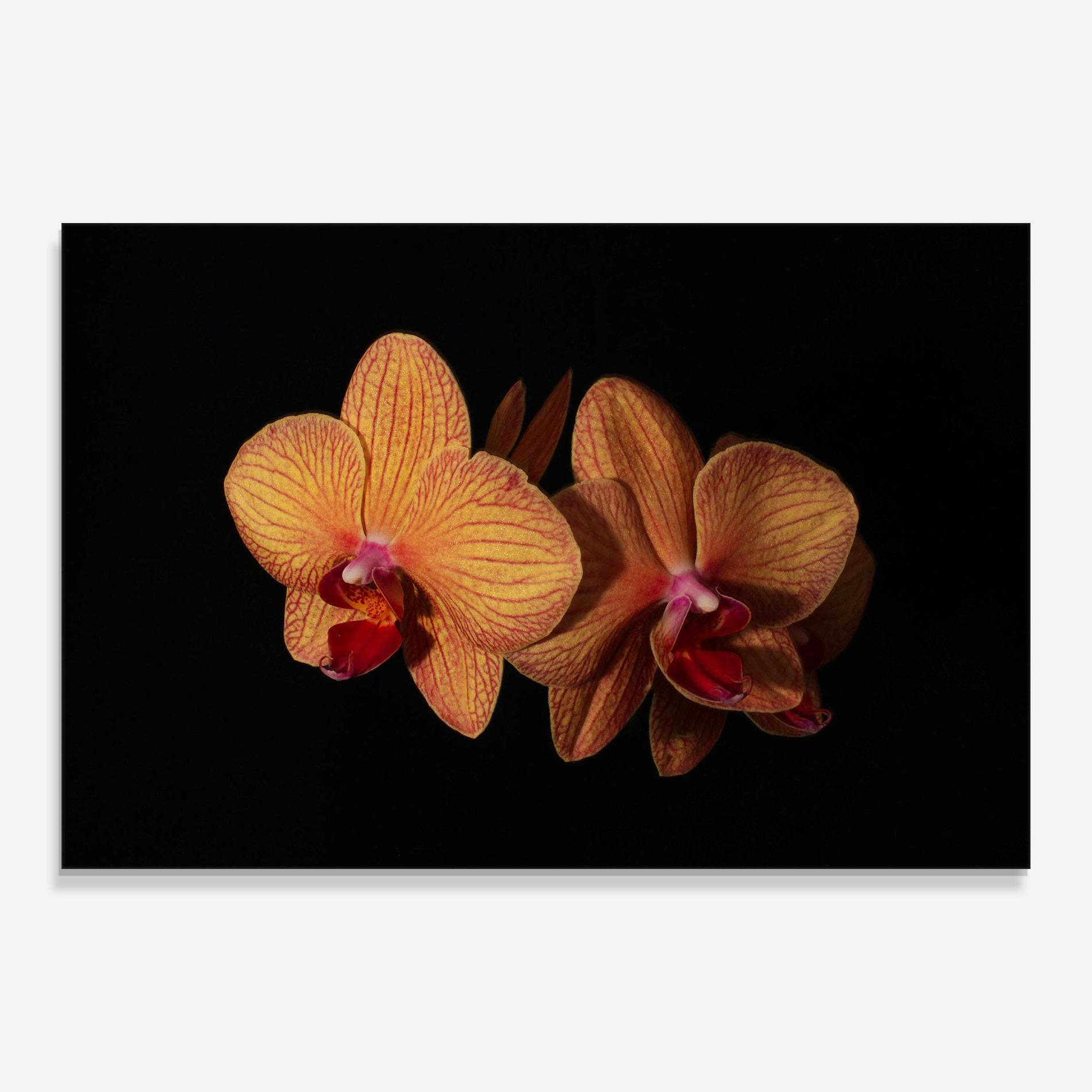 Glasbild Light Orange Orchid mockup 0