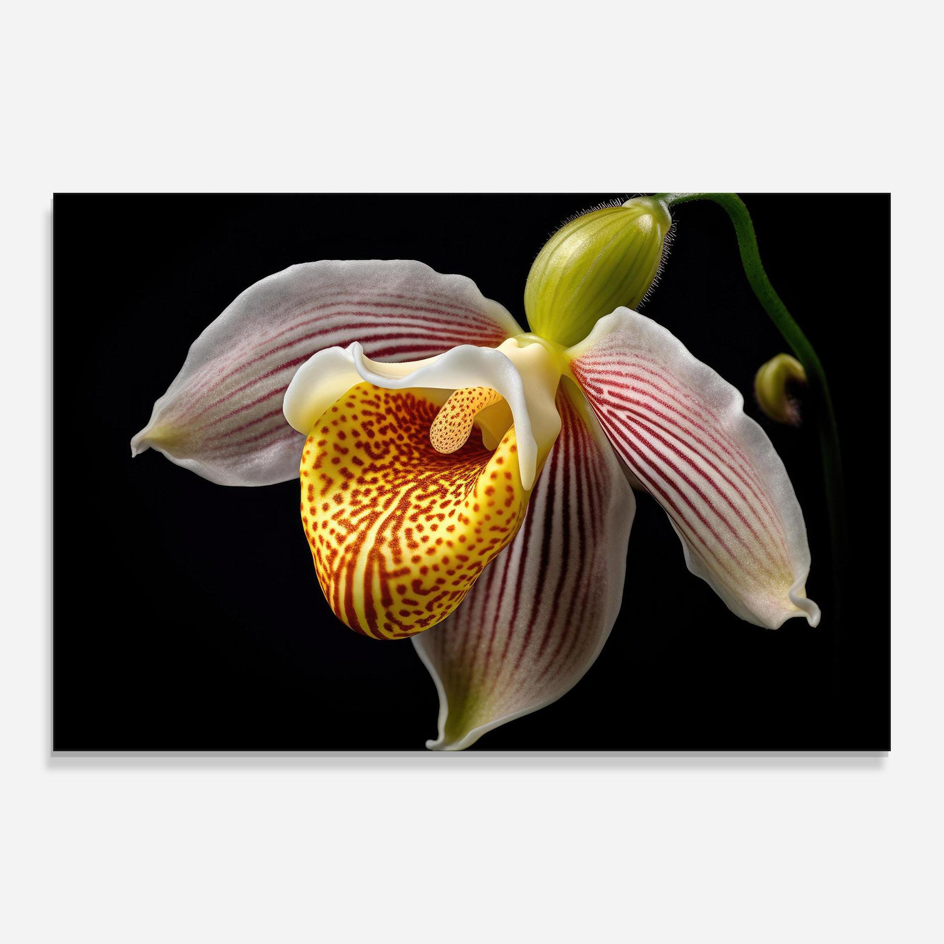 Glasbild Orchid On Black mockup 0
