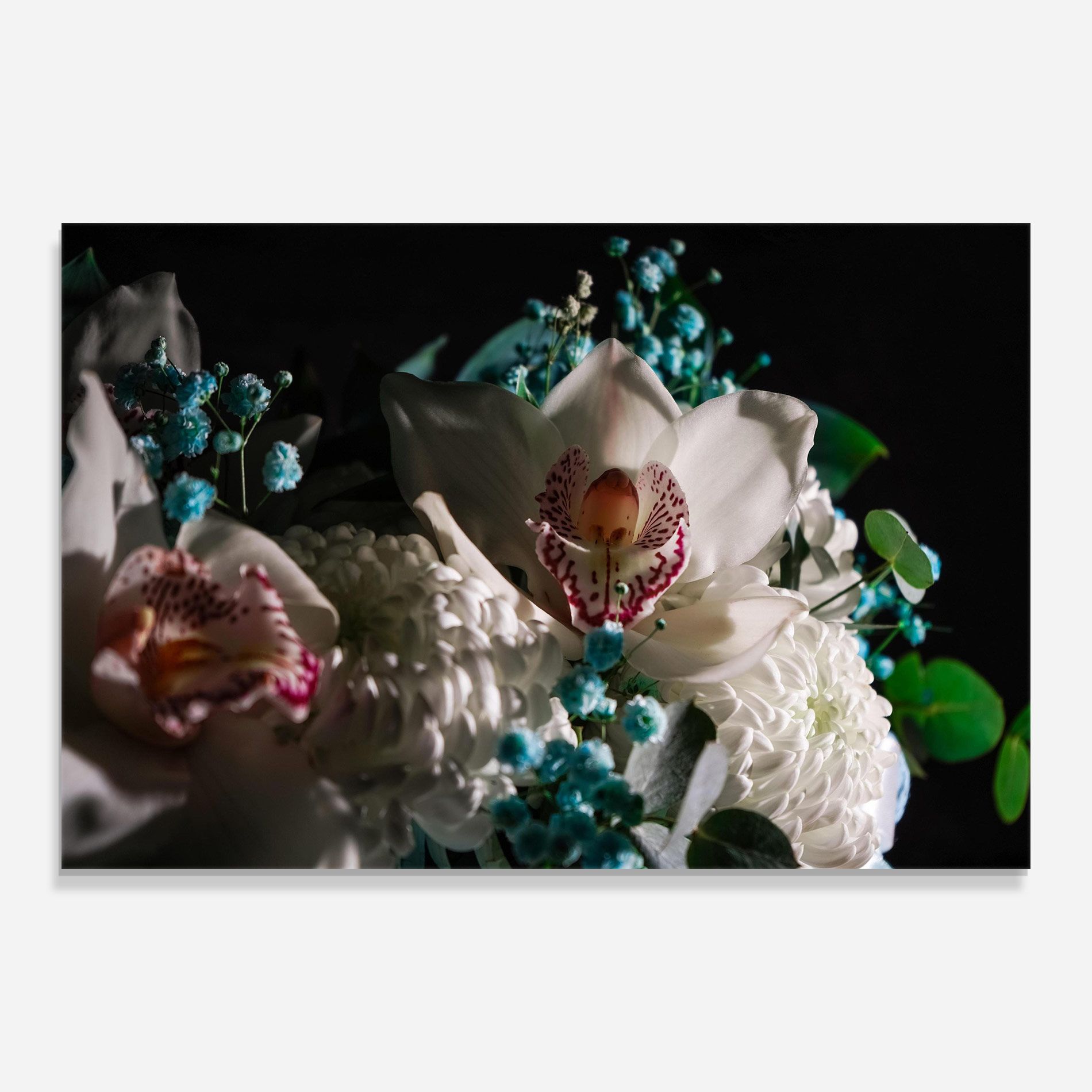 Orchids mockup 0