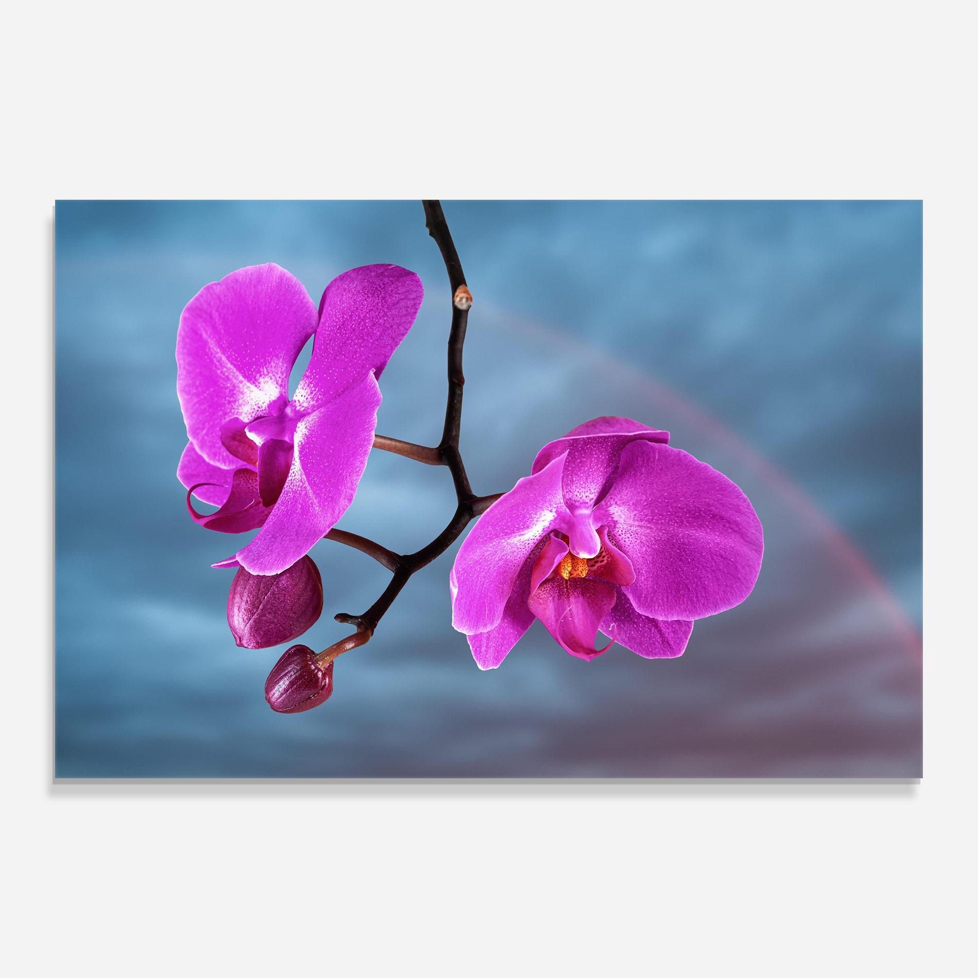 Glasbild Sky Purple Orchid mockup 0