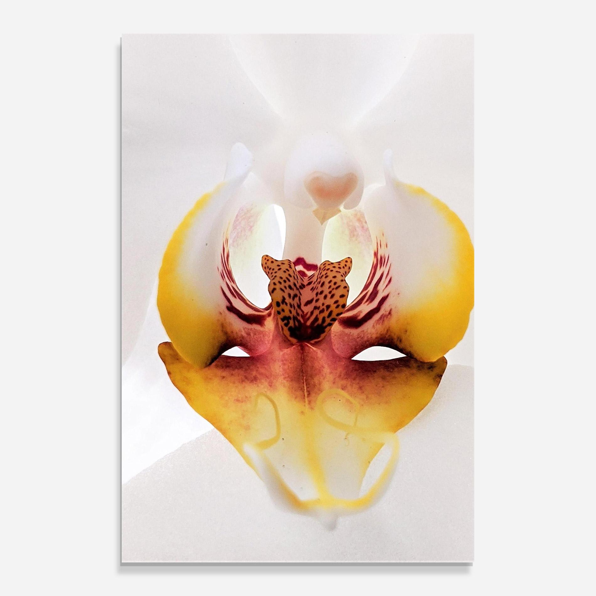 Glasbild Orchid Close Up mockup 0