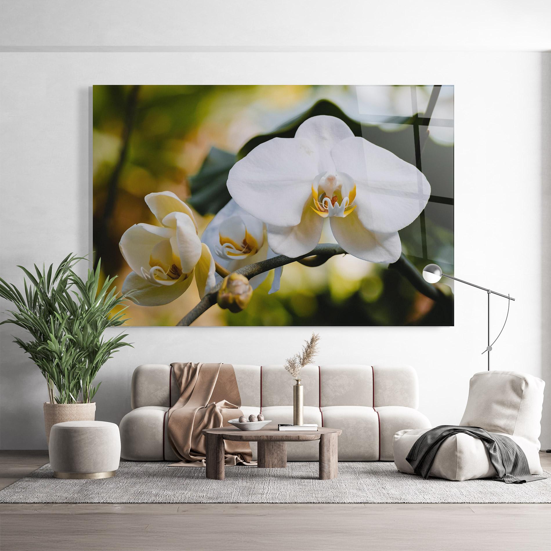 Glasbild Cream Orchid In Nature mockup 9