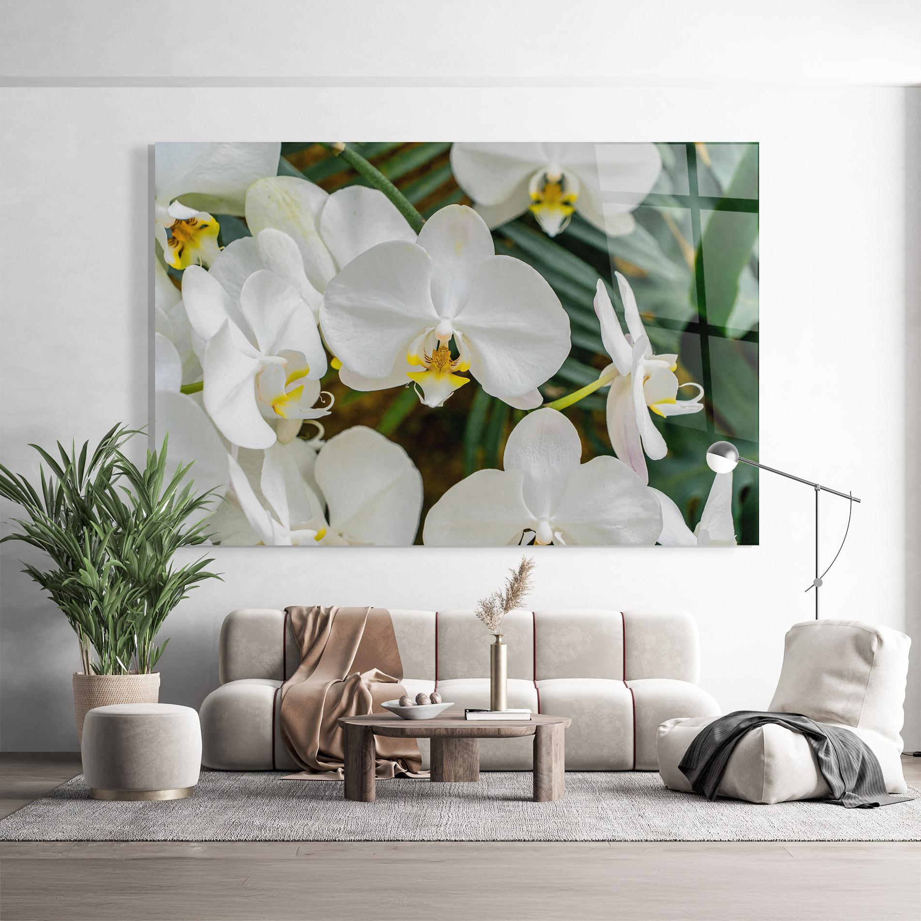 Glasbild Orchids In Nature mockup 9