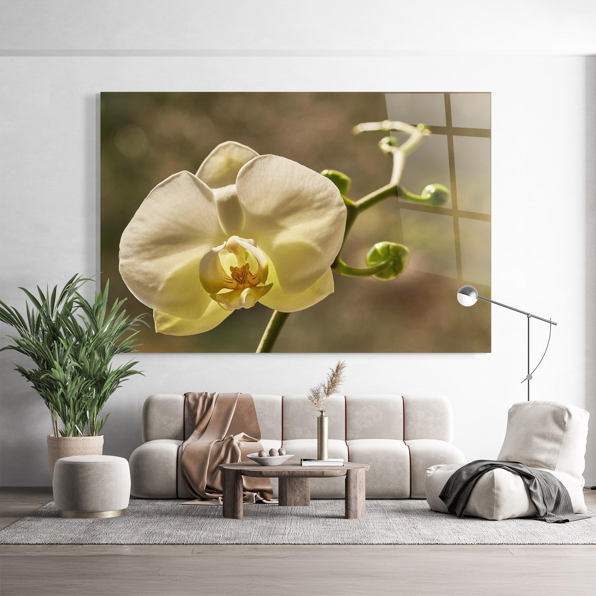 Glasbild Pastel Yellow Orchid In Garden mockup 9