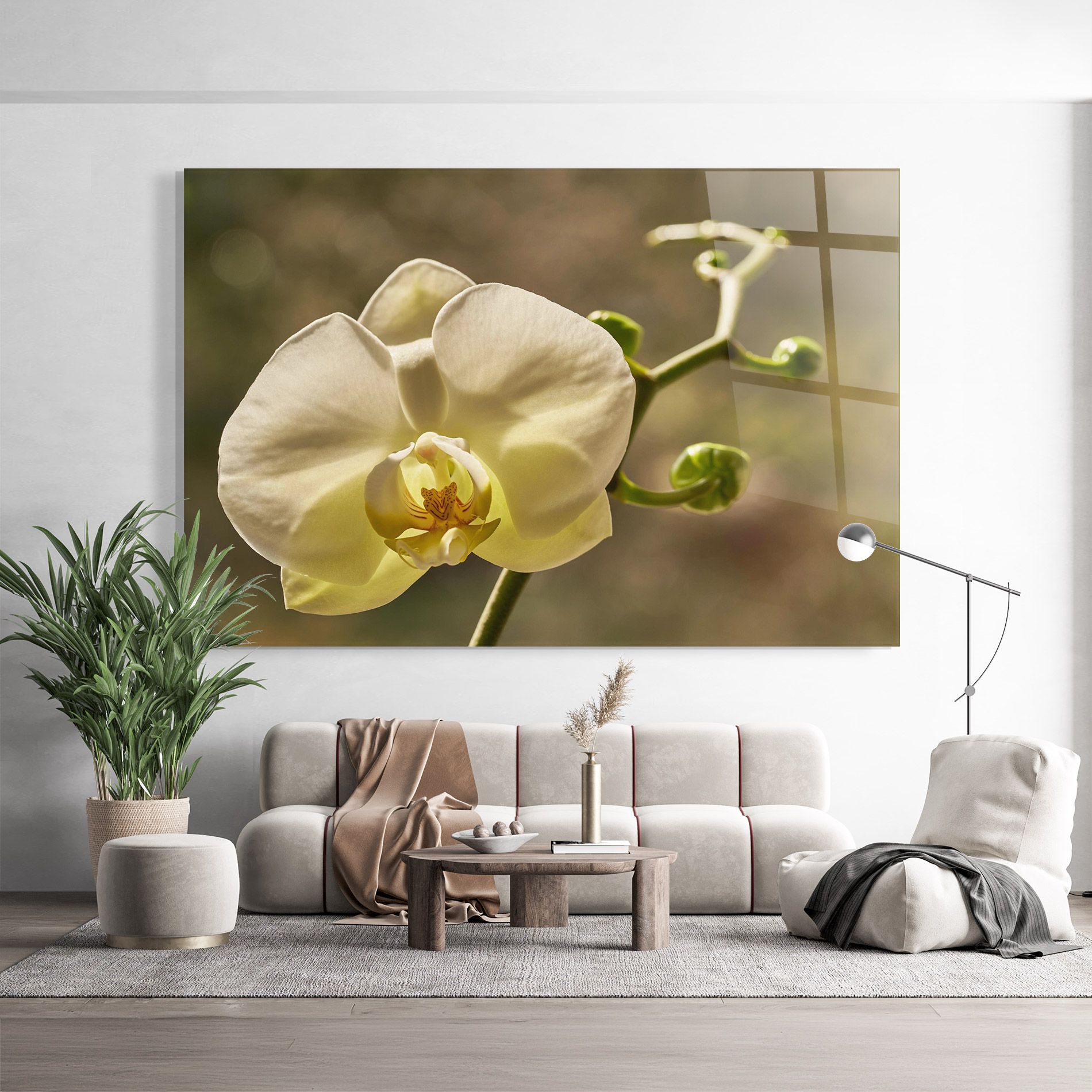 Pastel Yellow Orchid In Garden mockup 9
