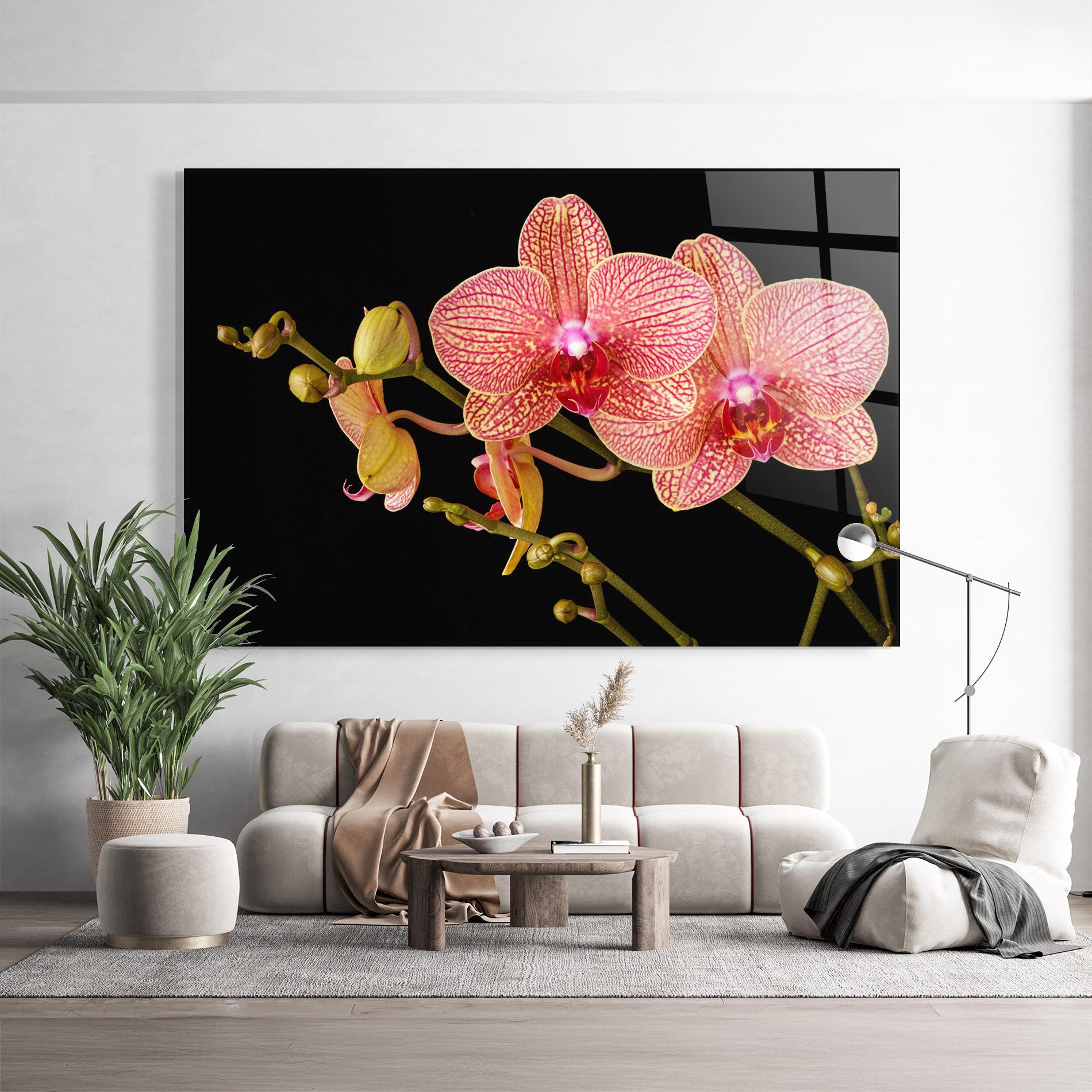 Glasbild Pink Orchids On Black mockup 9