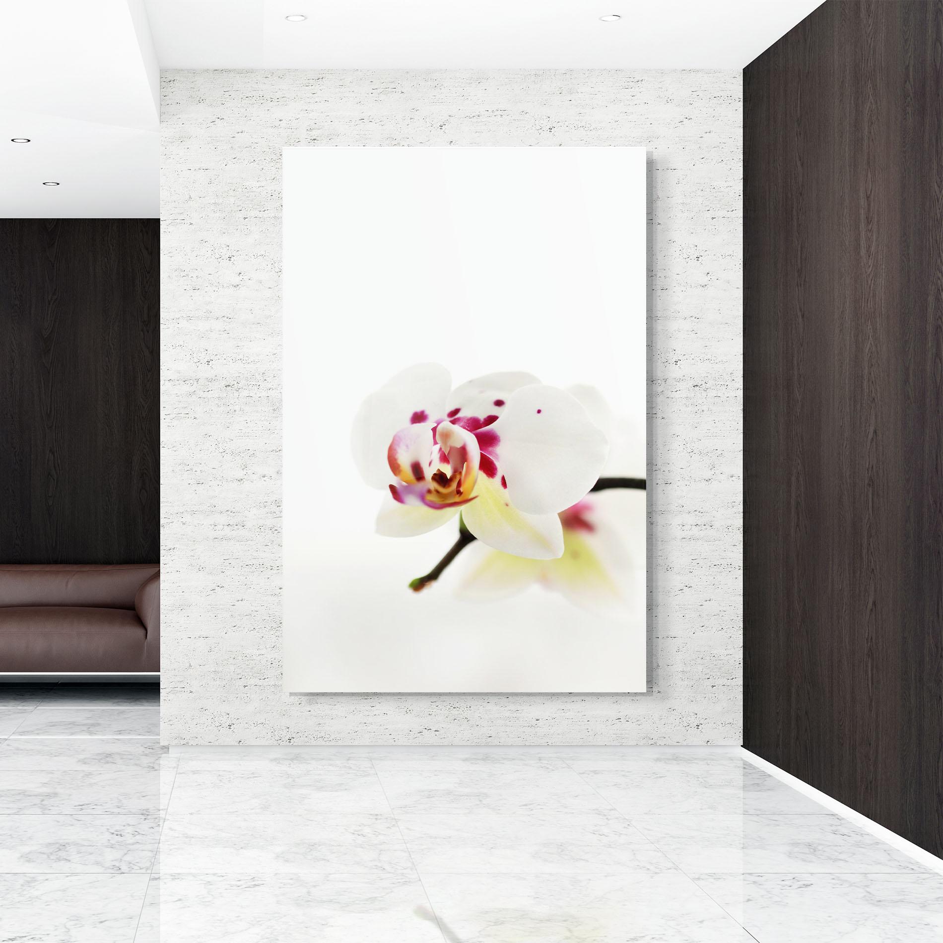 Glasbild Clean White Orchid mockup 9