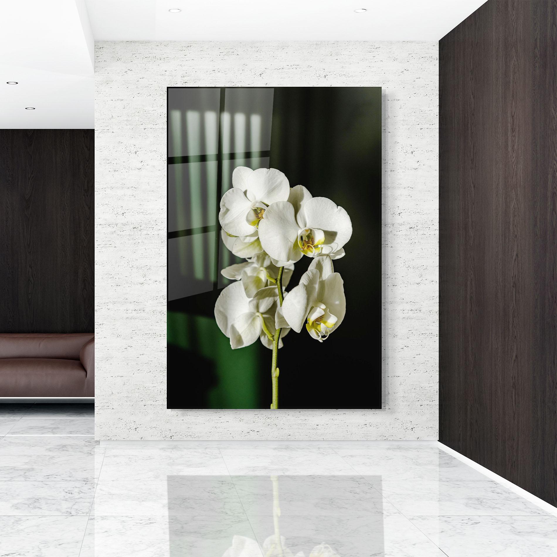 Glasbild Orchid On Green mockup 9