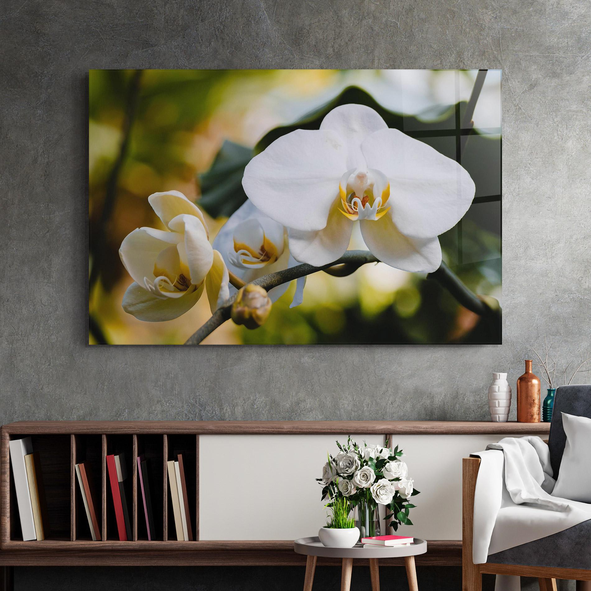 Glasbild Cream Orchid In Nature mockup 2
