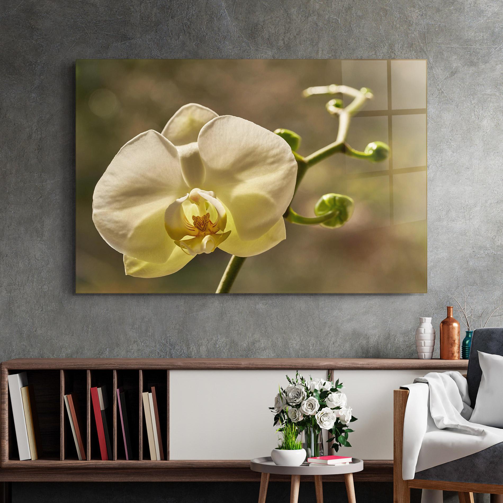 Glasbild Pastel Yellow Orchid In Garden mockup 2