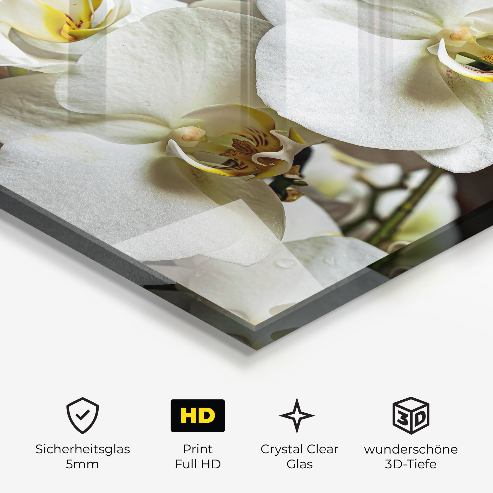 Beautiful White Orchids mockup 3