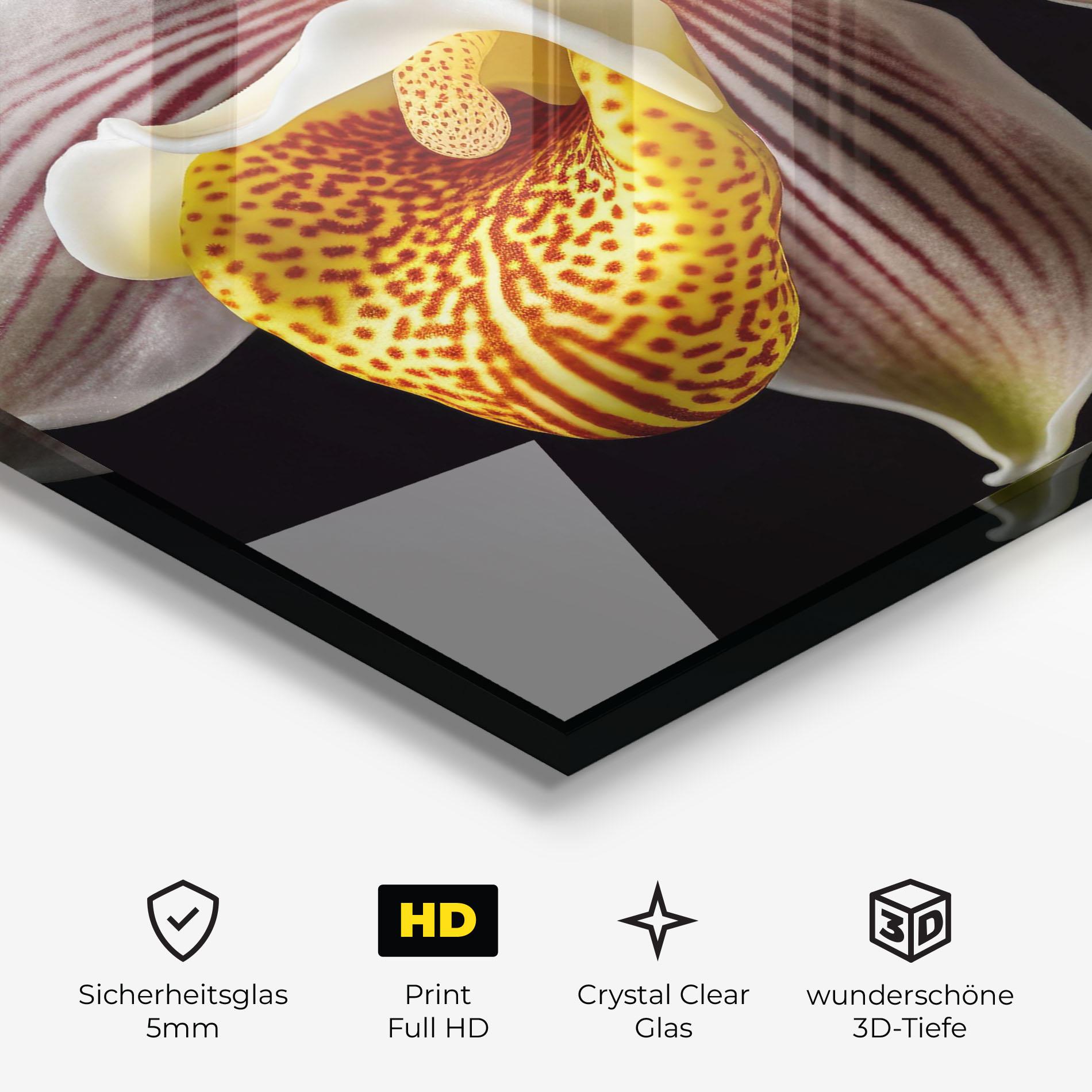 Glasbild Orchid On Black mockup 3