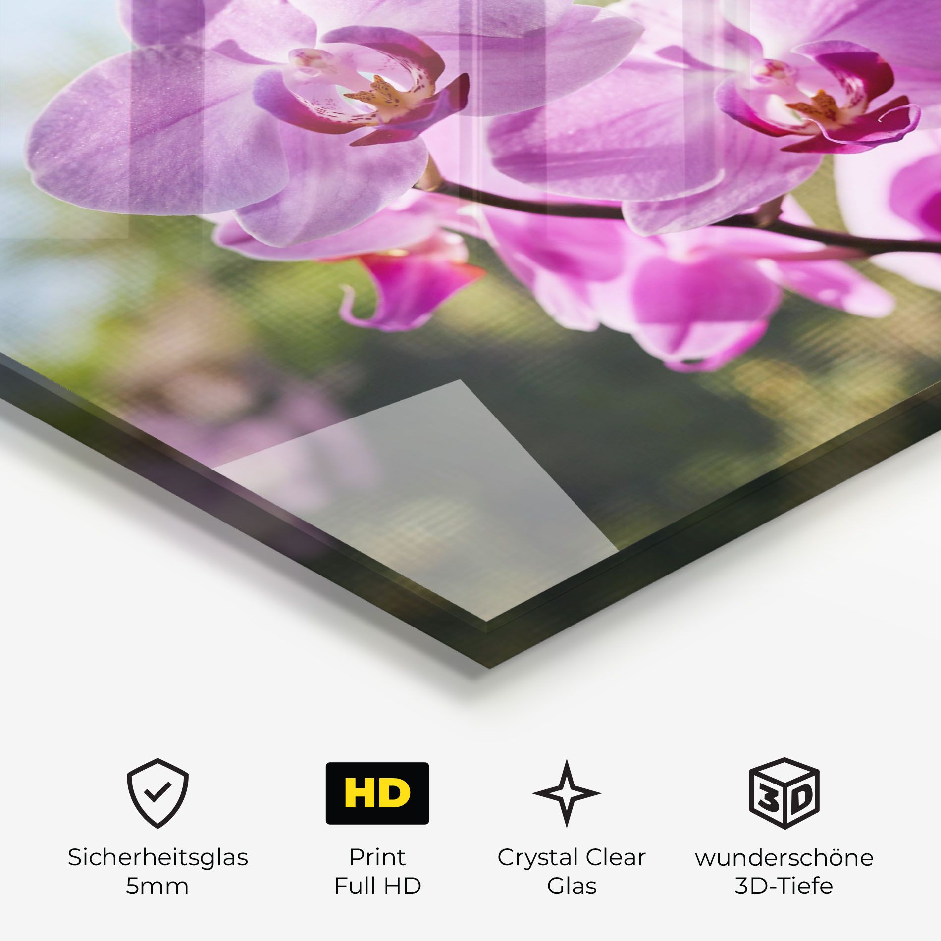 Orchids In The Garden mockup 3