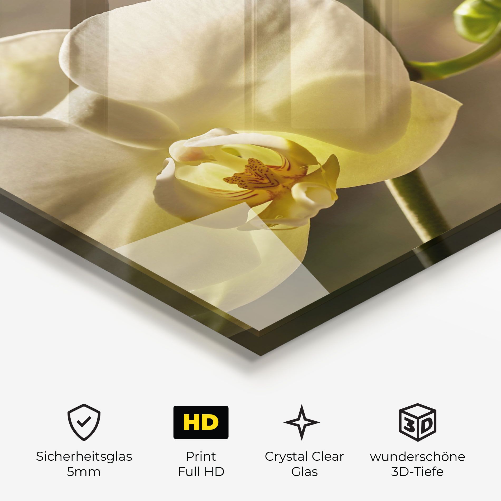 Pastel Yellow Orchid In Garden mockup 3