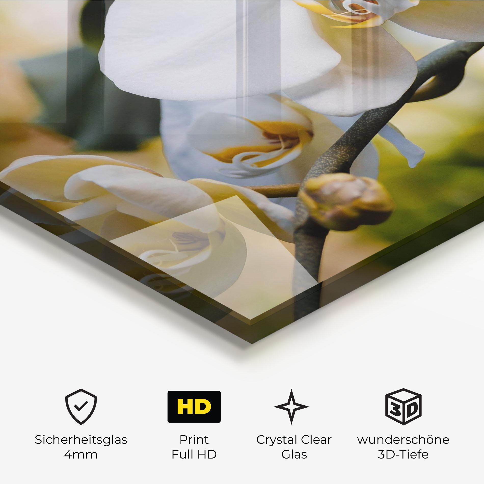 Glasbild Cream Orchid In Nature mockup 3