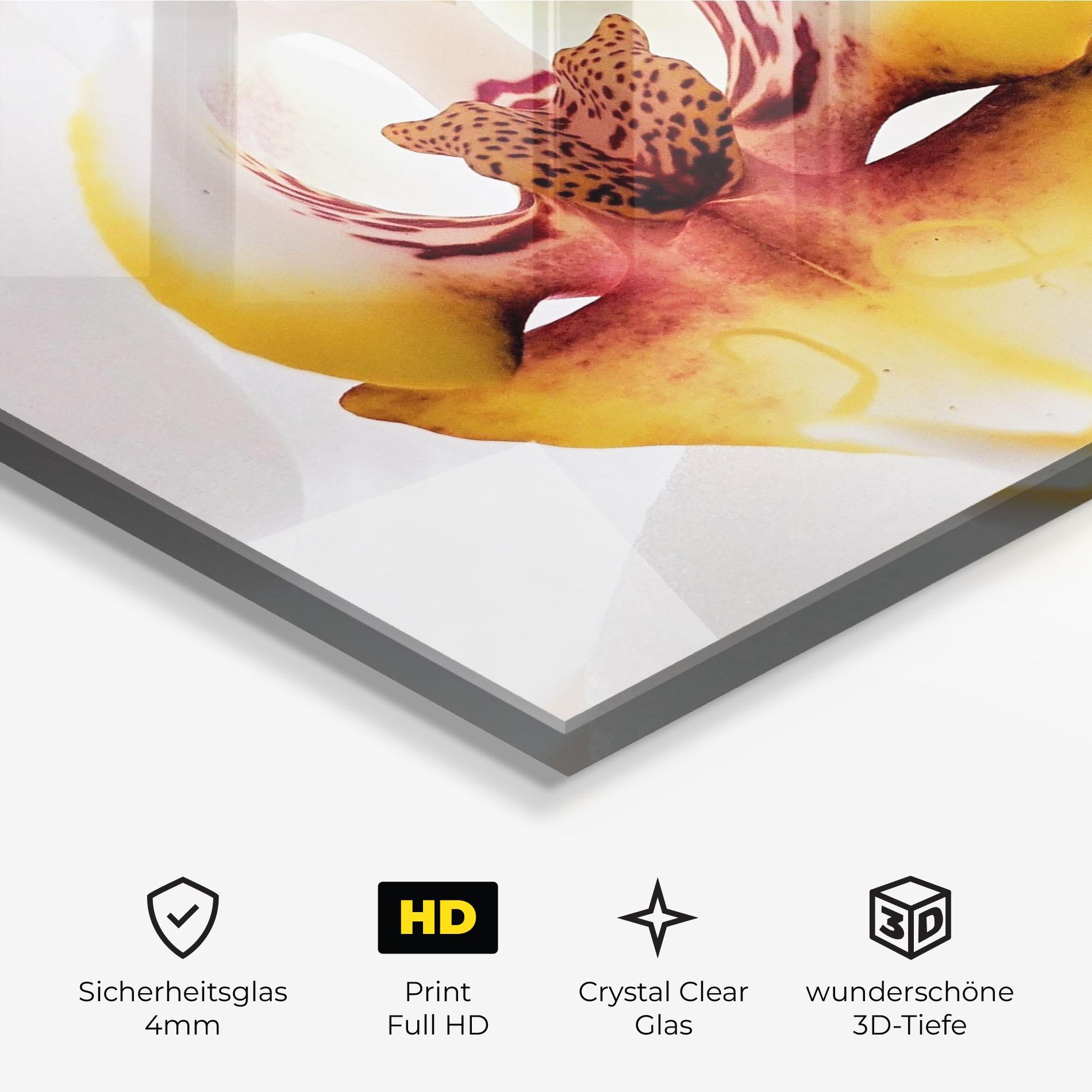 Glasbild Orchid Close Up mockup 3