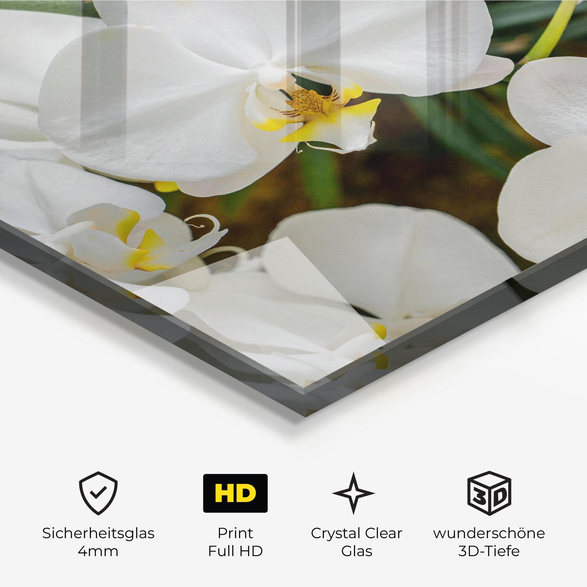 Glasbild Orchids In Nature mockup 3