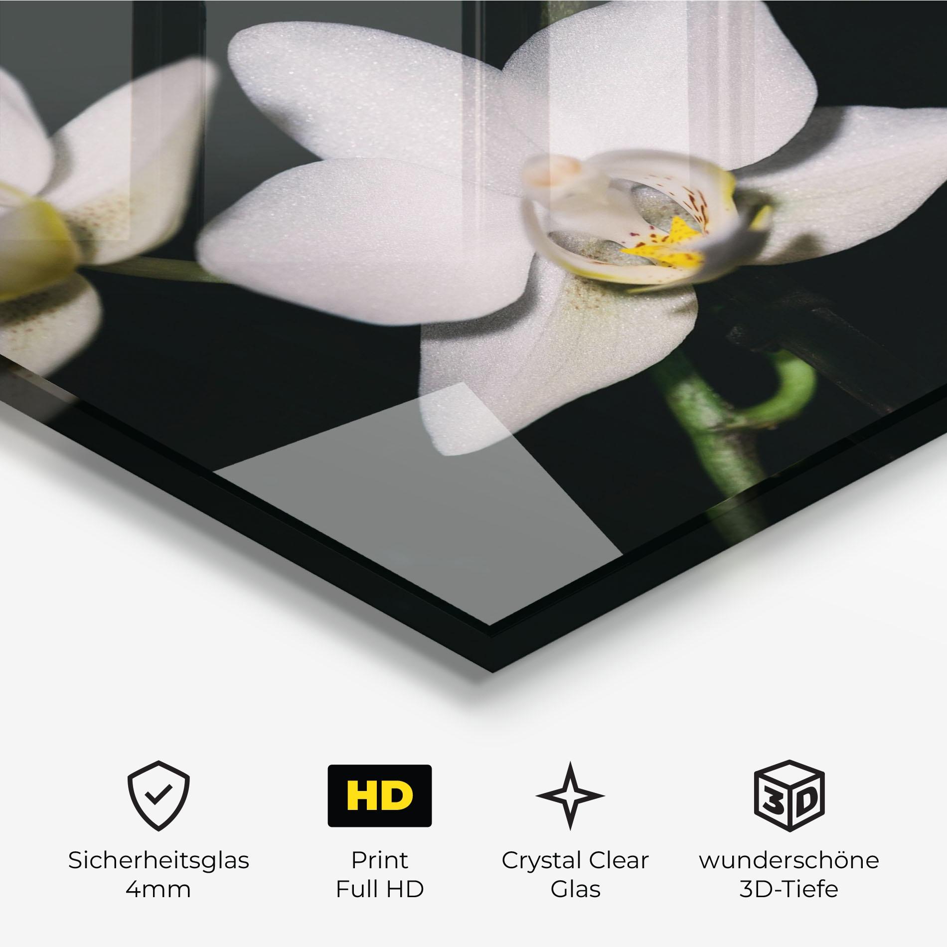Glasbild Orchids On Black mockup 3