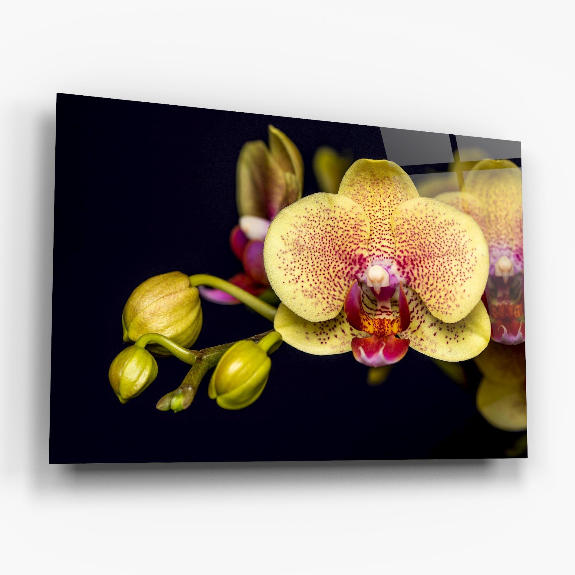 Glasbild Baby Orchid mockup 6