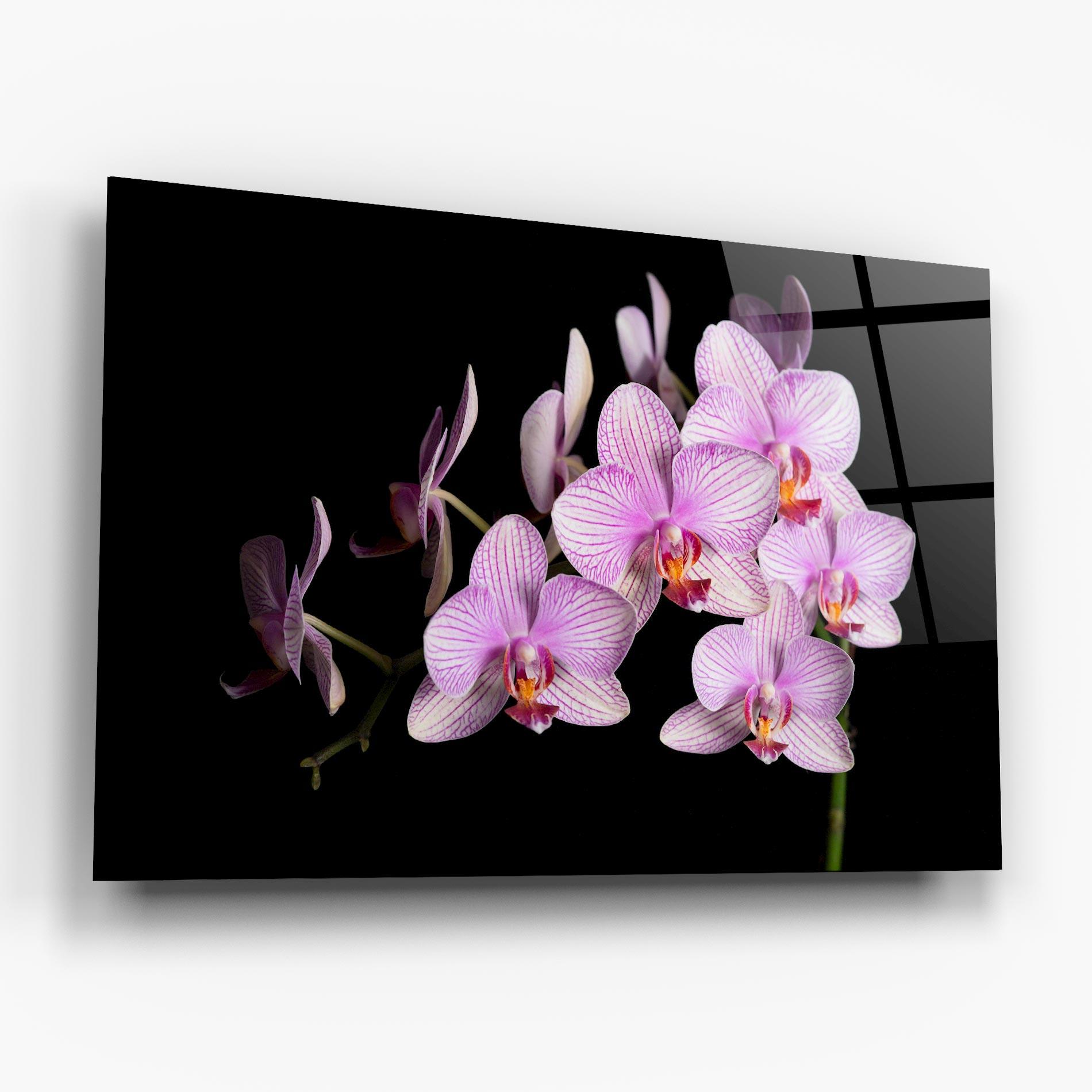 Glasbild Beautiful Orchids On Black mockup 6