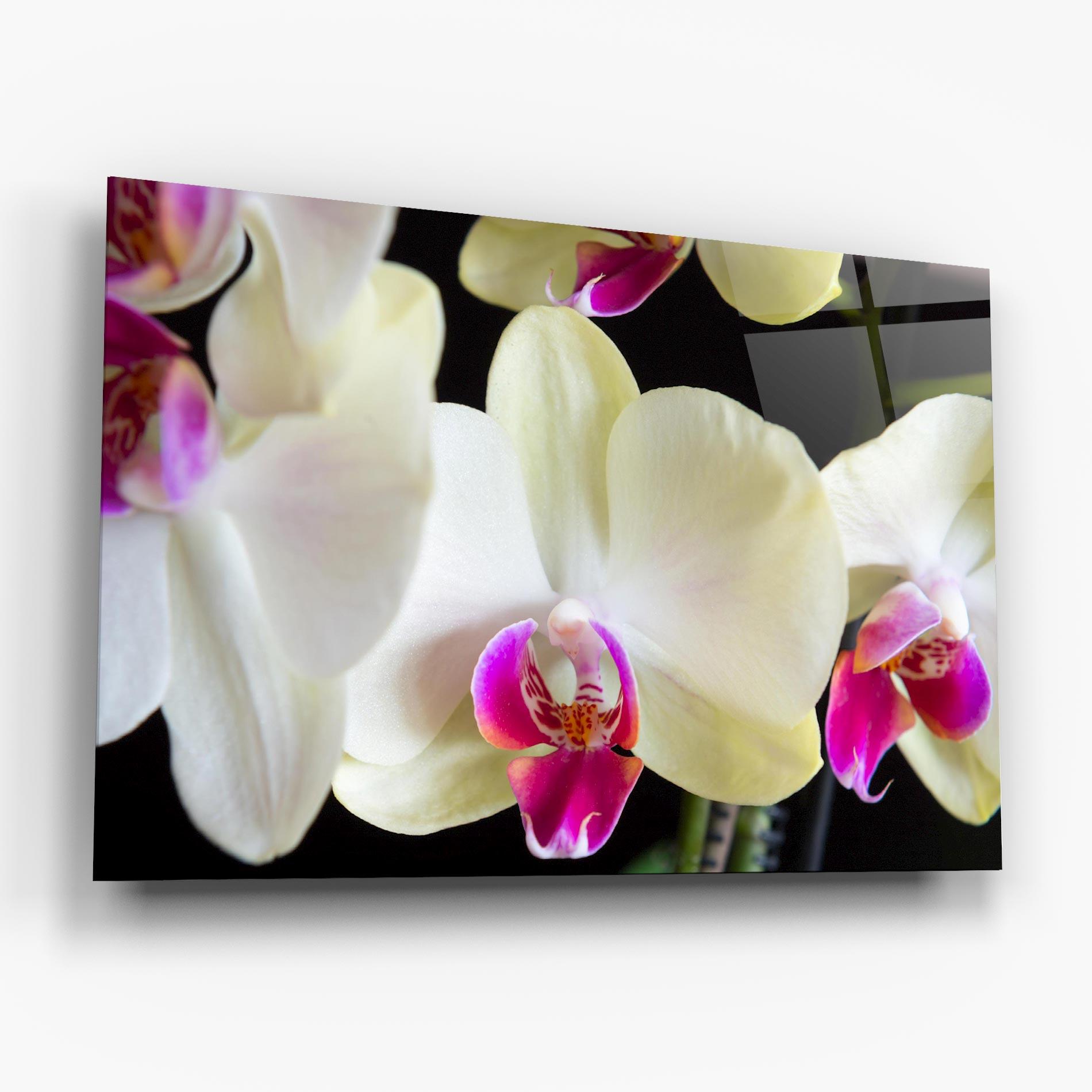 Glasbild Cream Purple Orchids mockup 6