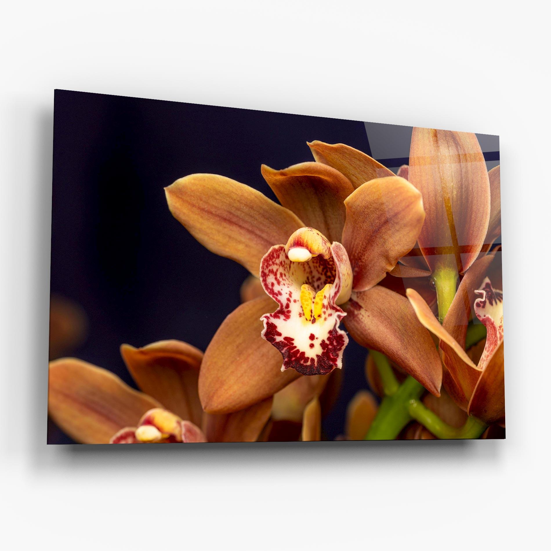Glasbild Dirty Orange Orchid mockup 6