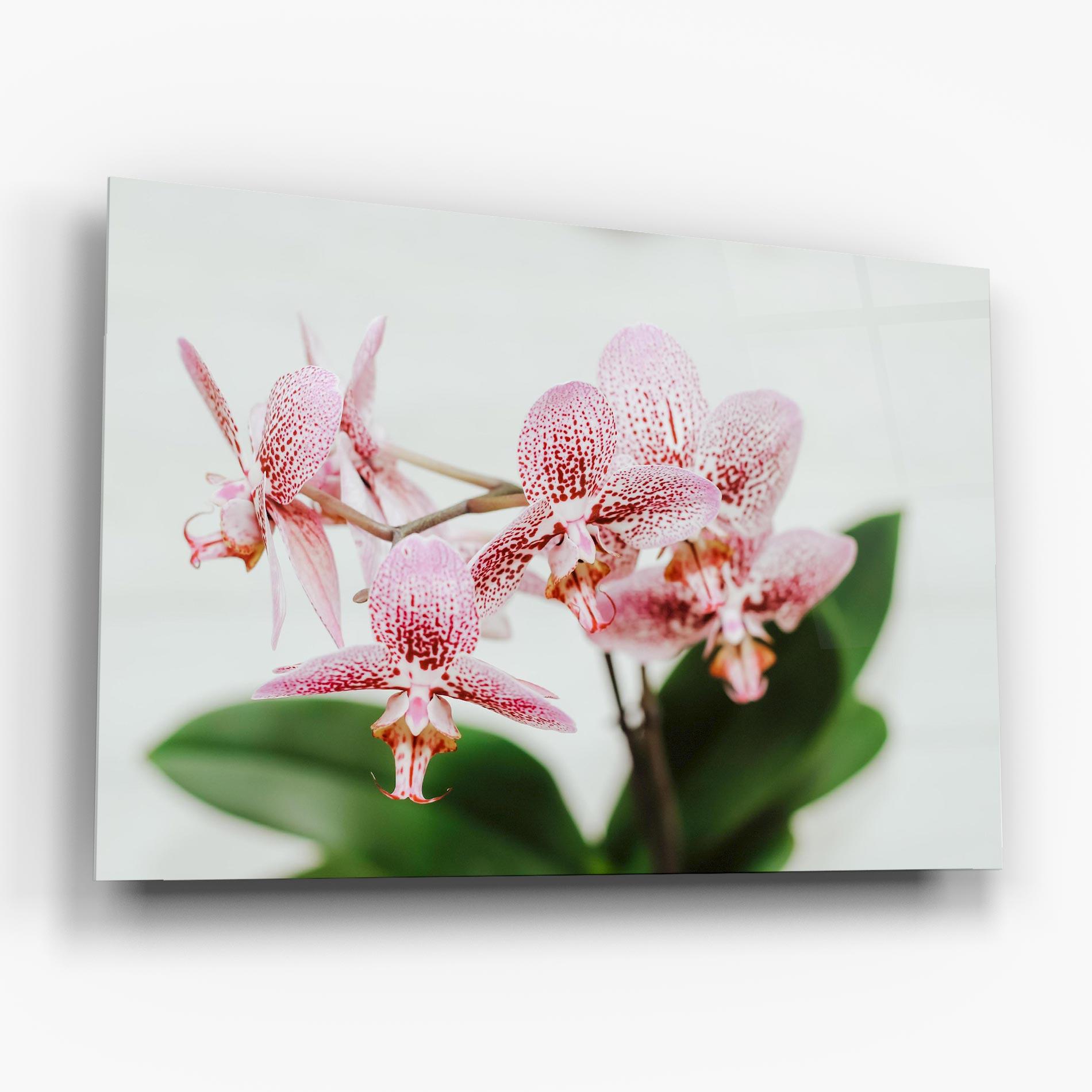 Glasbild Green Orchids mockup 6