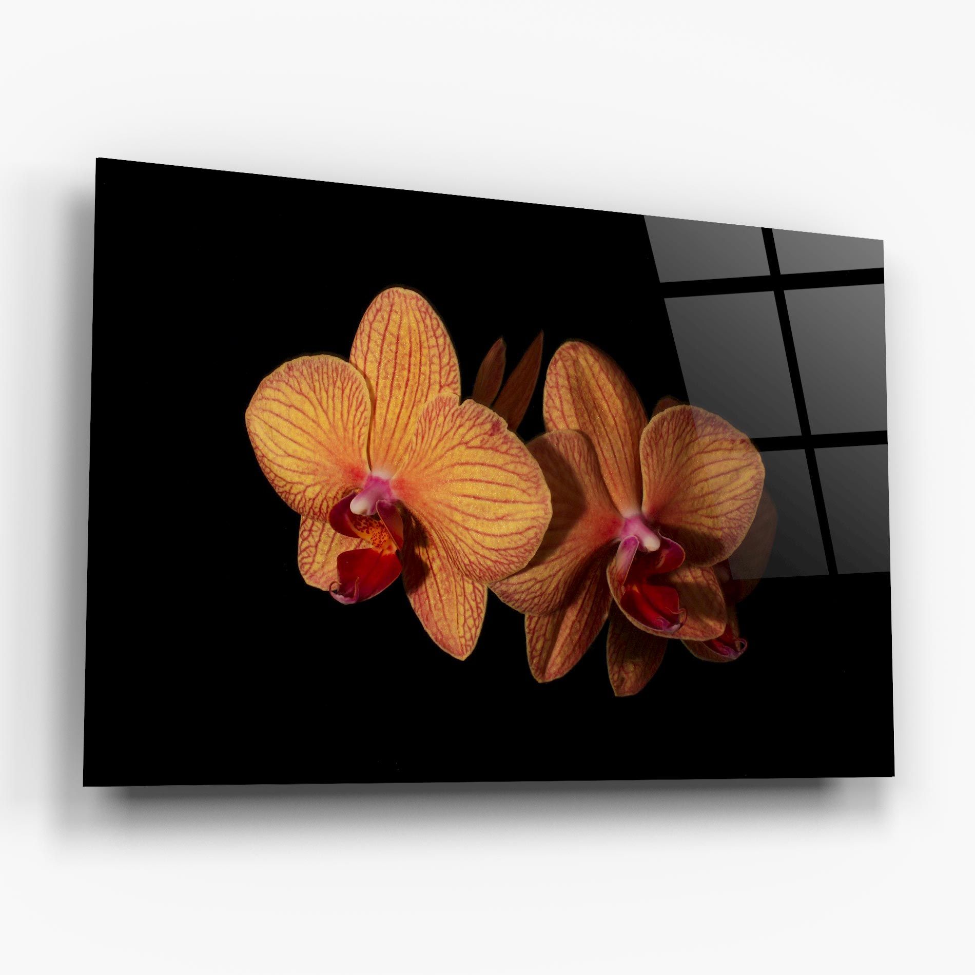 Light Orange Orchid mockup 6
