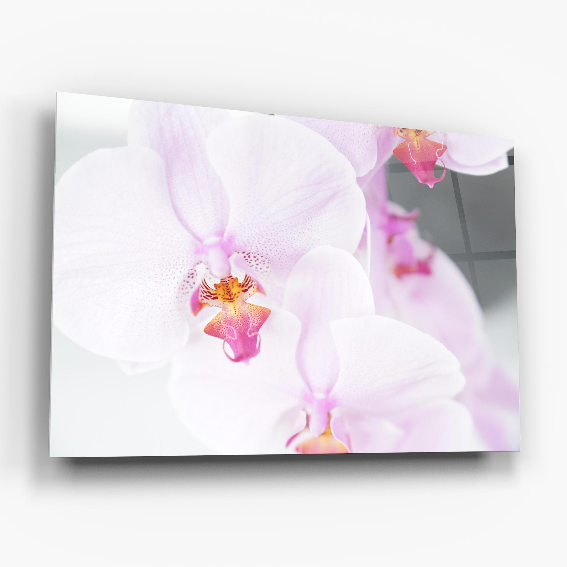 Glasbild Light Purple Orchid mockup 6