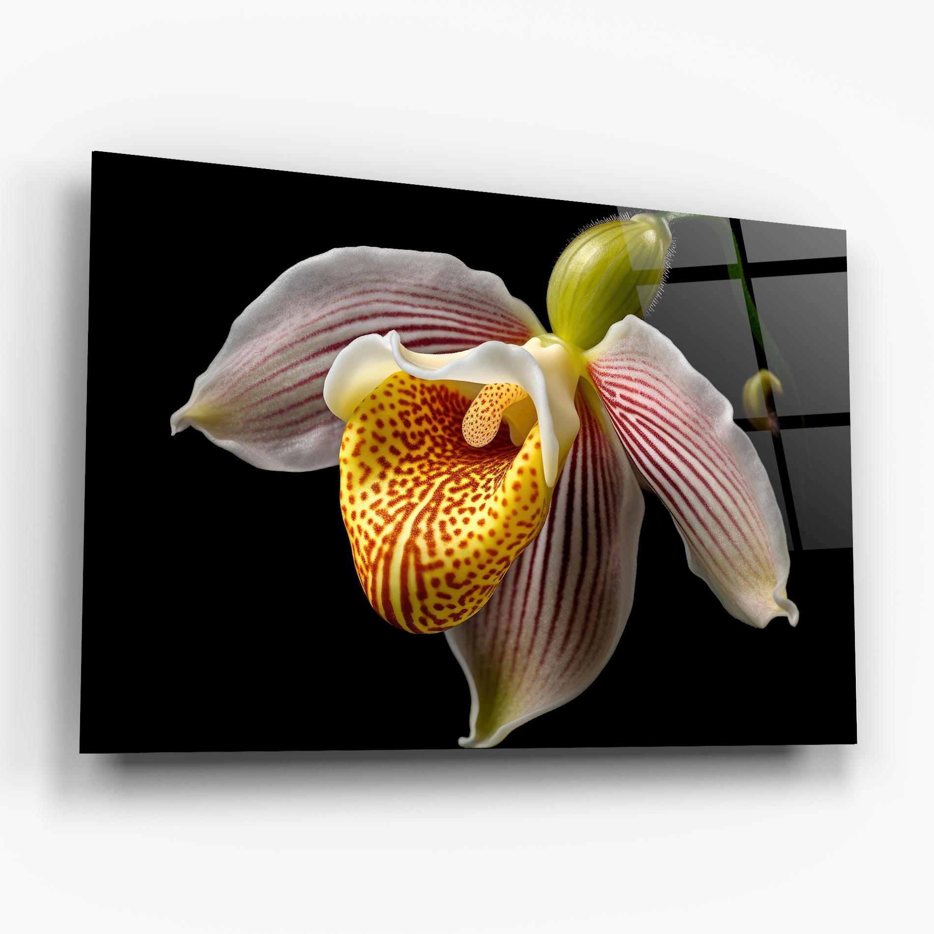 Glasbild Orchid On Black mockup 6