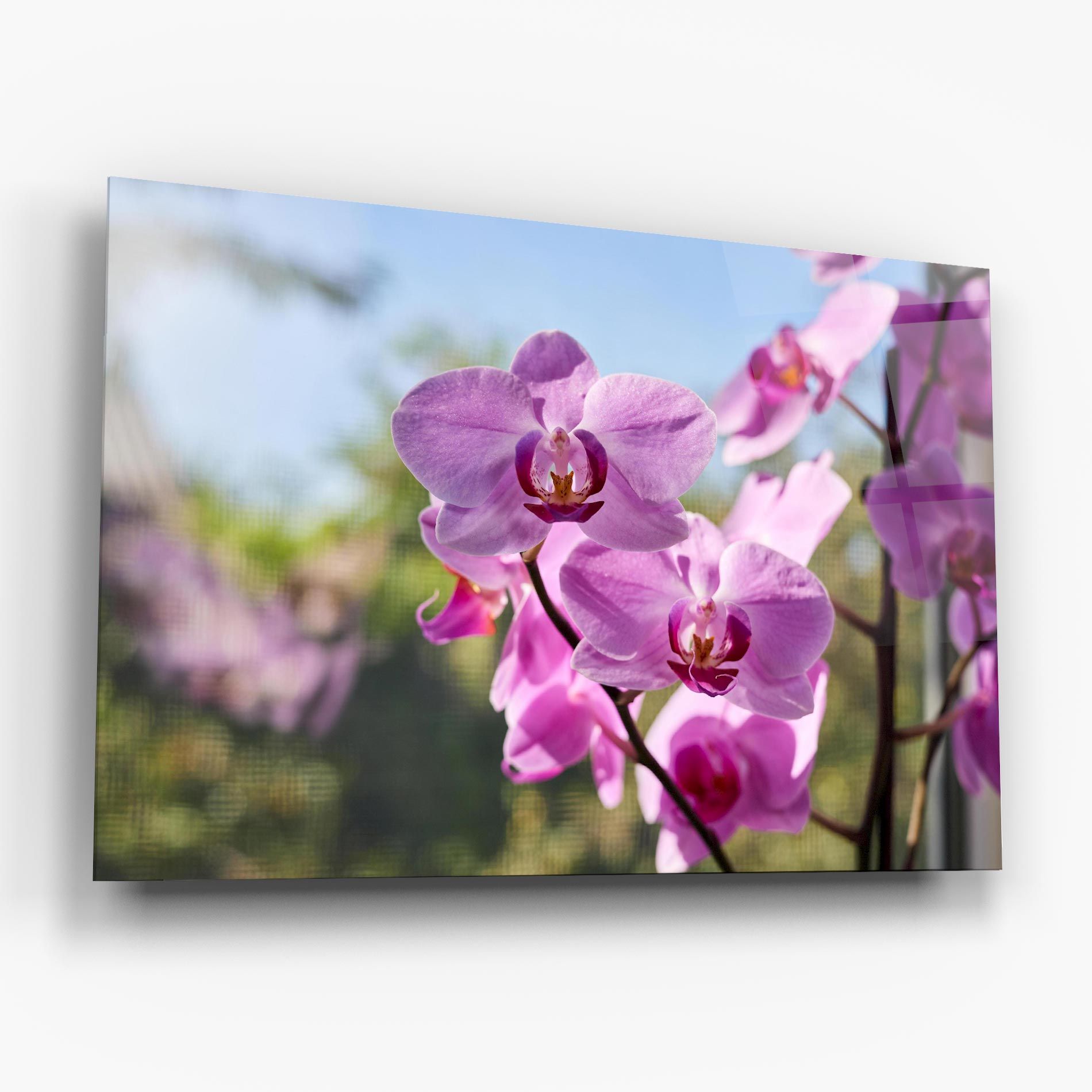 Orchids In The Garden mockup 6