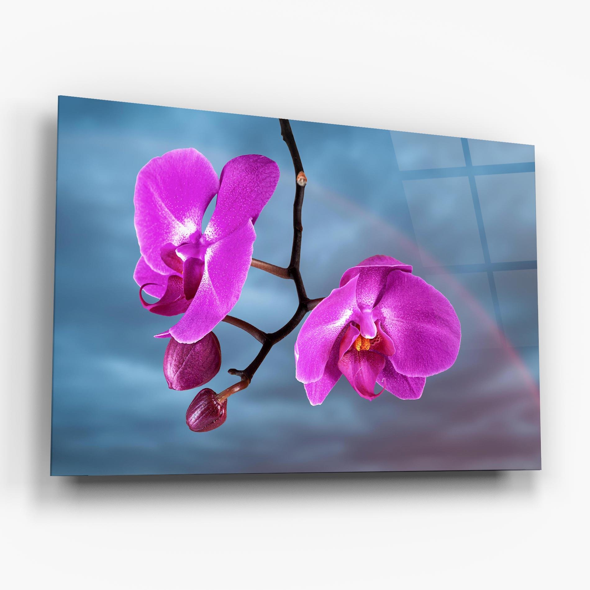 Glasbild Sky Purple Orchid mockup 6