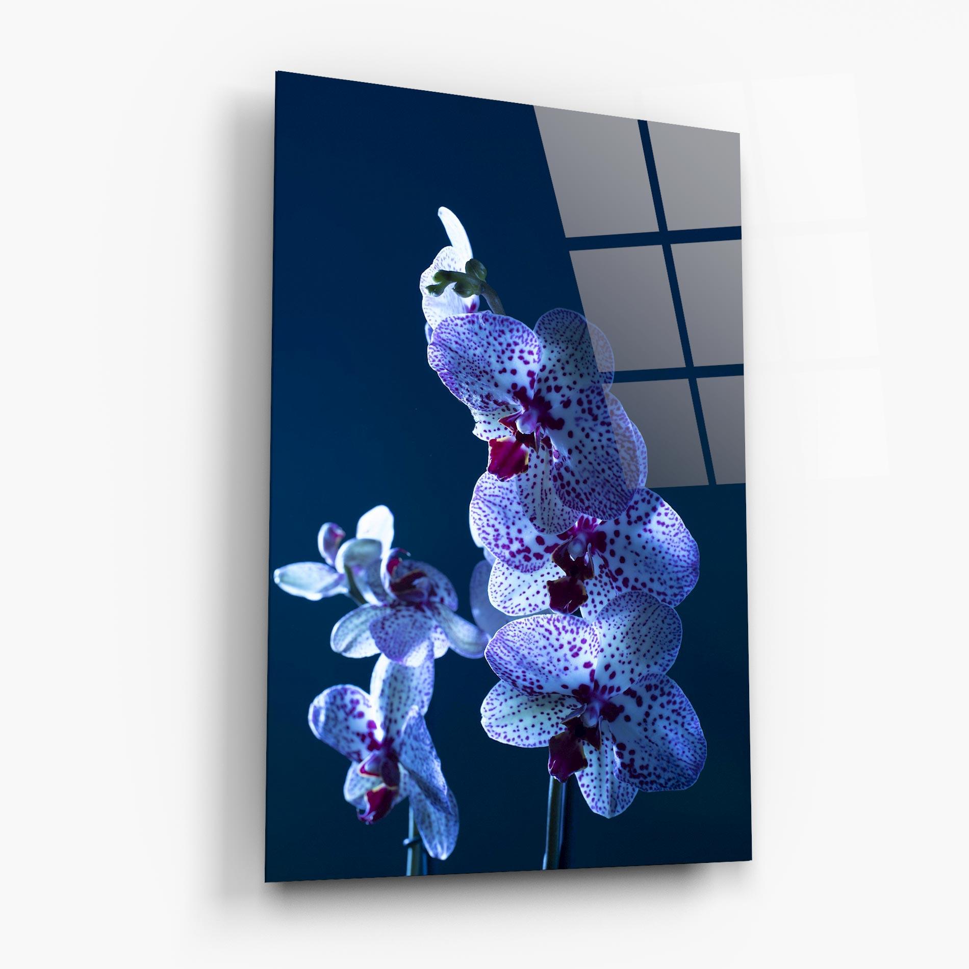 Glasbild Blue Light Orchid mockup 6
