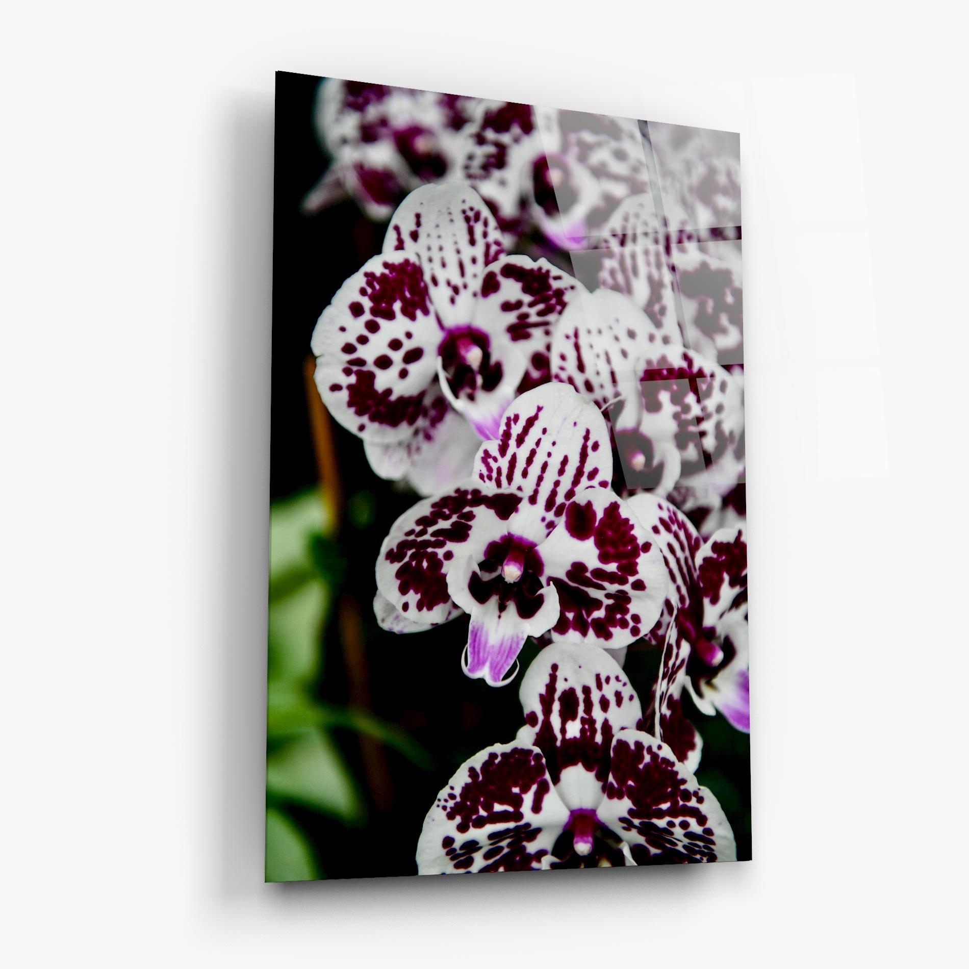 Glasbild Dark Purple Orchids mockup 6